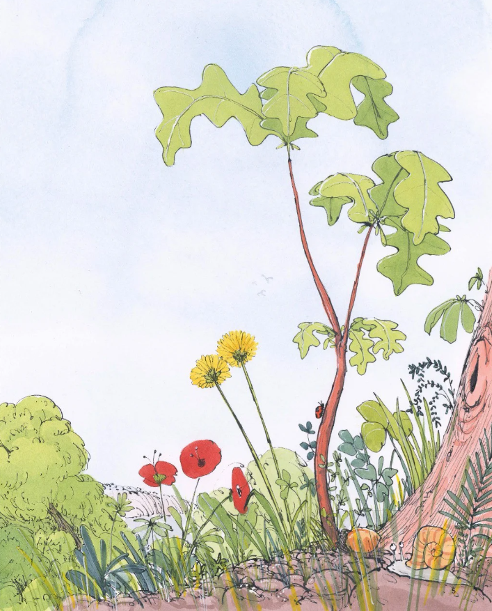 cây đã thấy những gì? - Ảnh 4