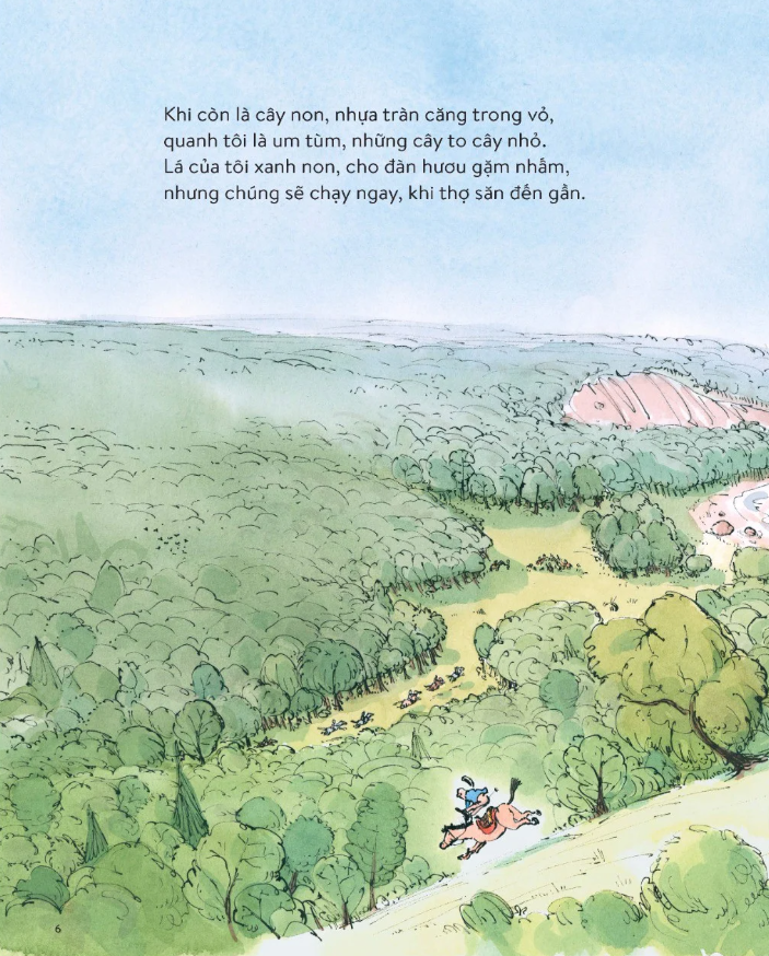 cây đã thấy những gì? - Ảnh 5