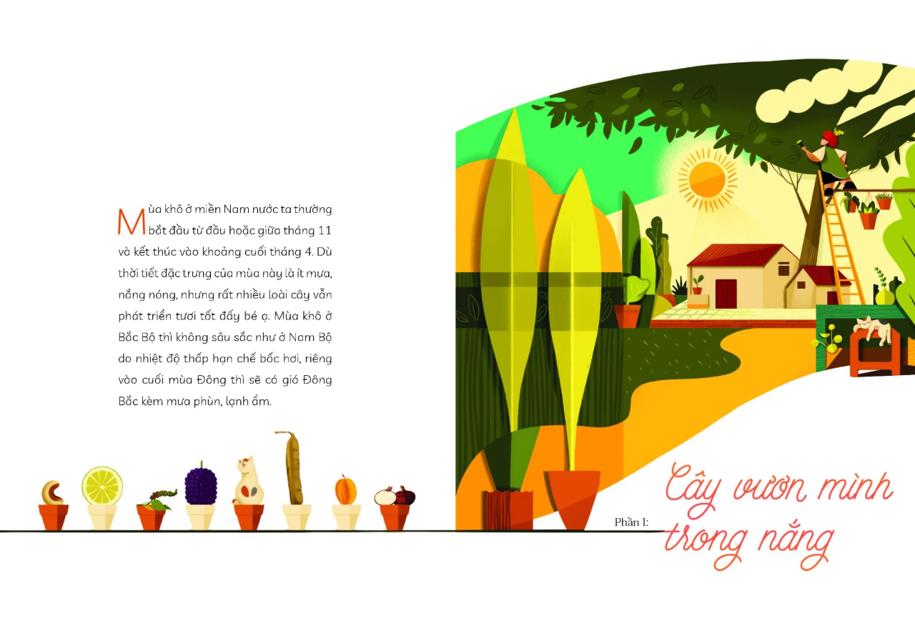 cây nhà lá vườn - khám phá thế giới cây trái việt nam đa dạng phong phú - Ảnh 4