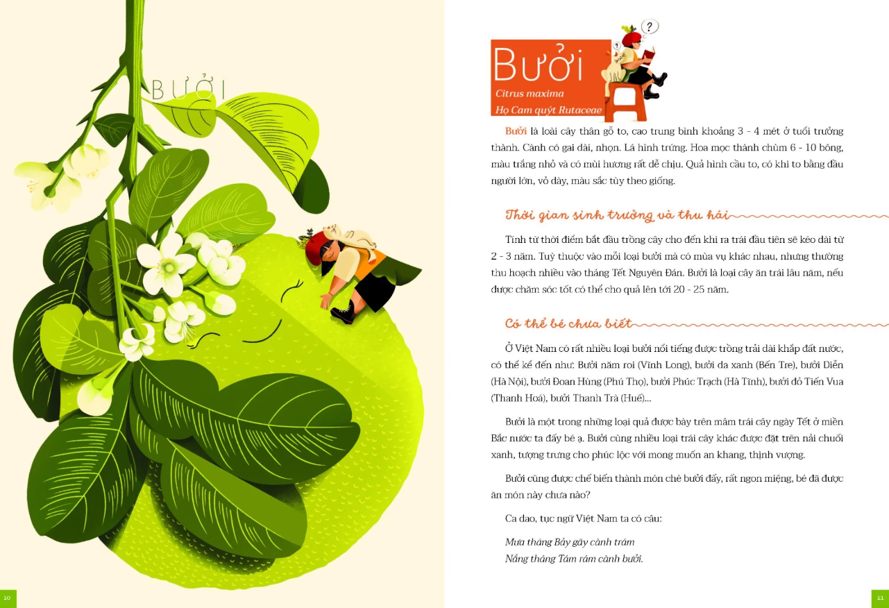 cây nhà lá vườn - khám phá thế giới cây trái việt nam đa dạng phong phú - Ảnh 5