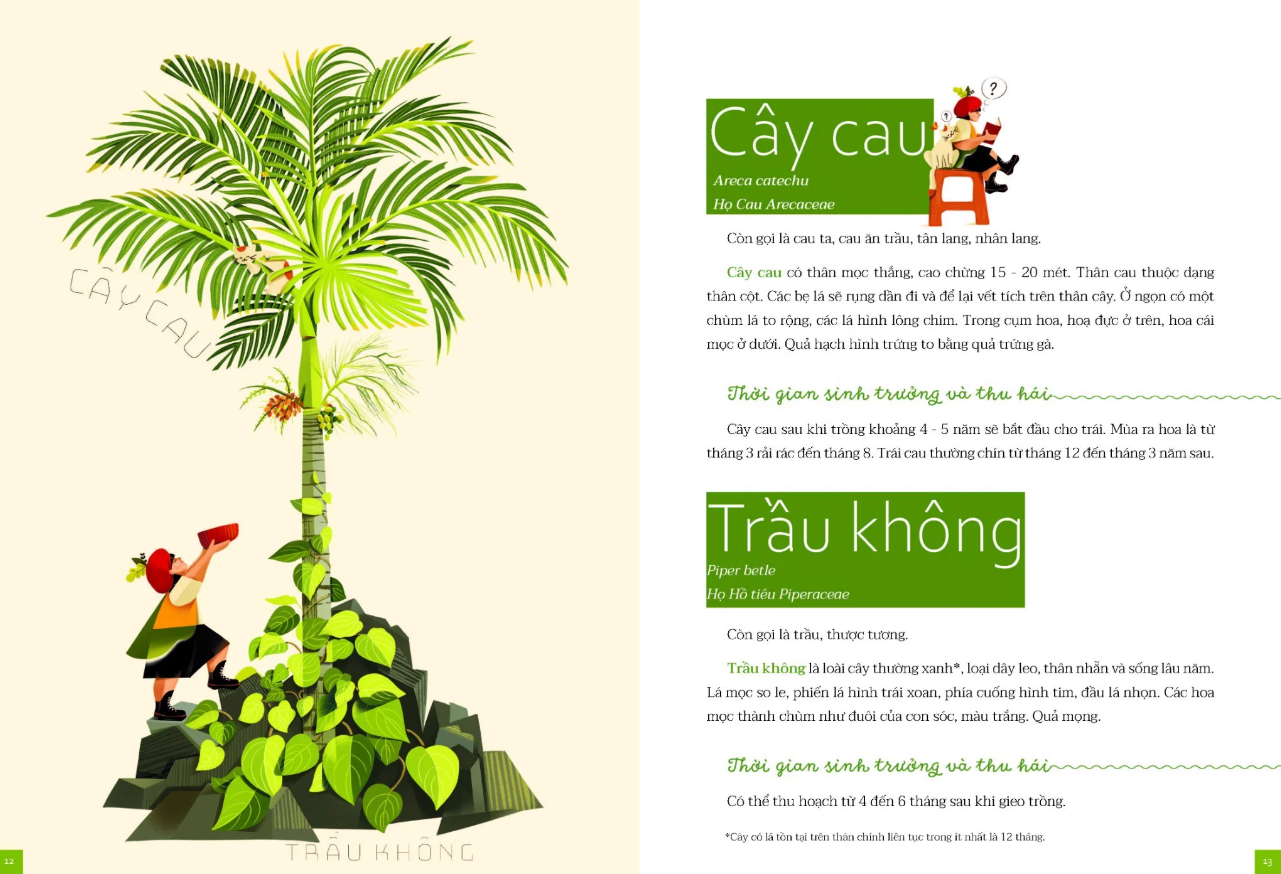 cây nhà lá vườn - khám phá thế giới cây trái việt nam đa dạng phong phú - Ảnh 6