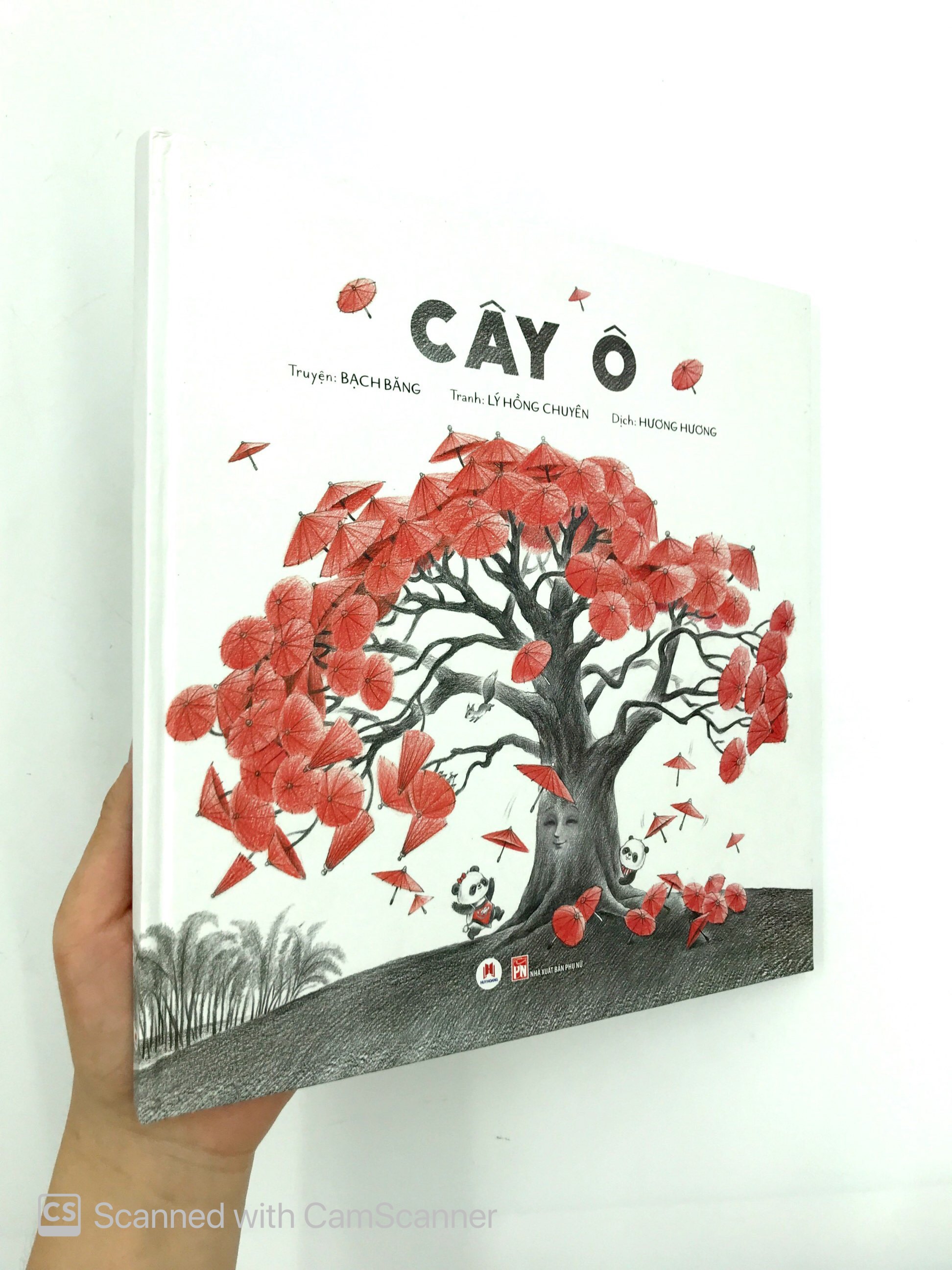 cây ô - Ảnh 7