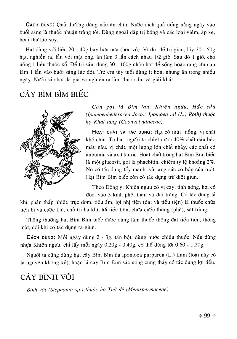 cây thuốc nam - những bài thuốc quý từ dân gian - Ảnh 7