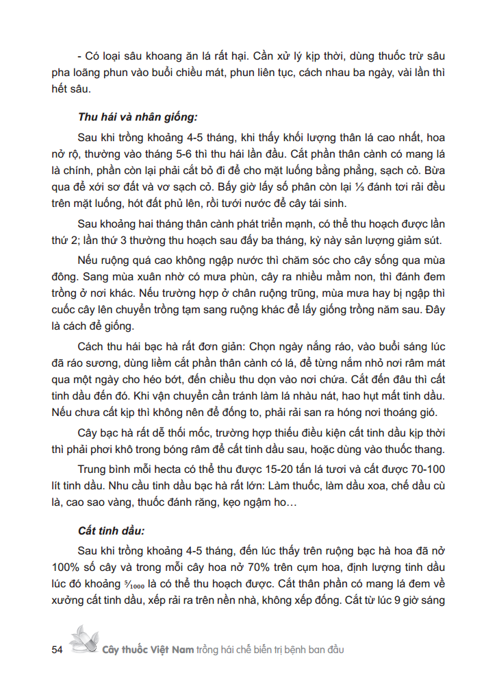 cây thuốc việt nam - trồng hái chế biến trị bệnh ban đầu (bìa cứng) - Ảnh 10