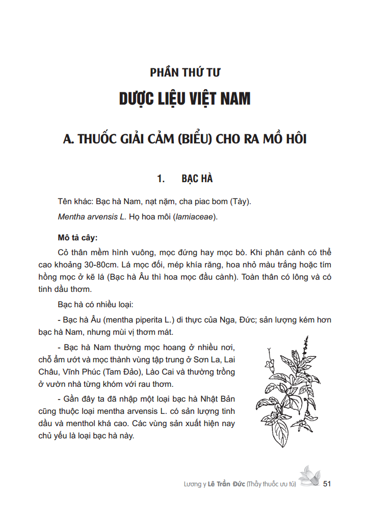 cây thuốc việt nam - trồng hái chế biến trị bệnh ban đầu (bìa cứng) - Ảnh 7
