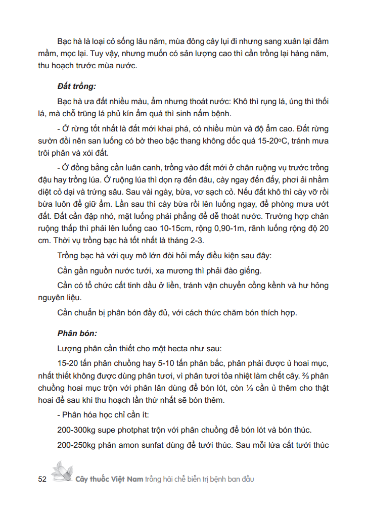 cây thuốc việt nam - trồng hái chế biến trị bệnh ban đầu (bìa cứng) - Ảnh 8