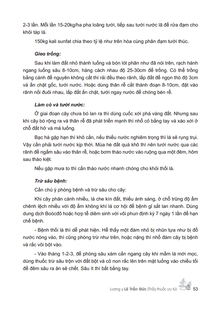 cây thuốc việt nam - trồng hái chế biến trị bệnh ban đầu (bìa cứng) - Ảnh 9