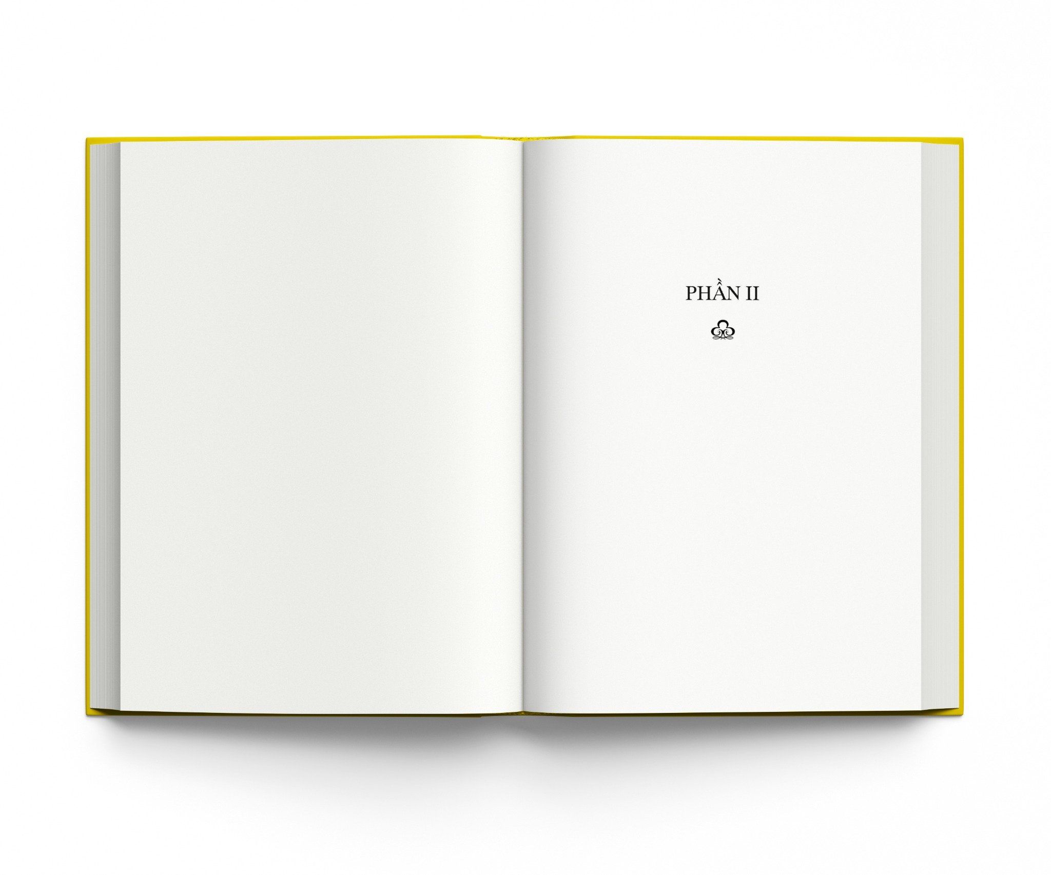 cha con giáo hoàng (tái bản 2024) - Ảnh 6