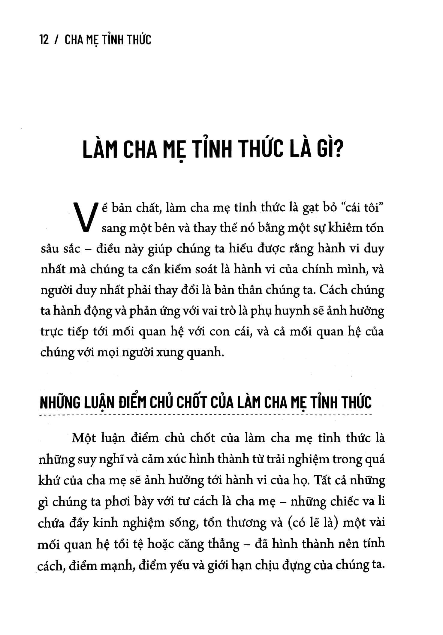 cha mẹ tỉnh thức - các chiến lược để kết nối với con - Ảnh 5