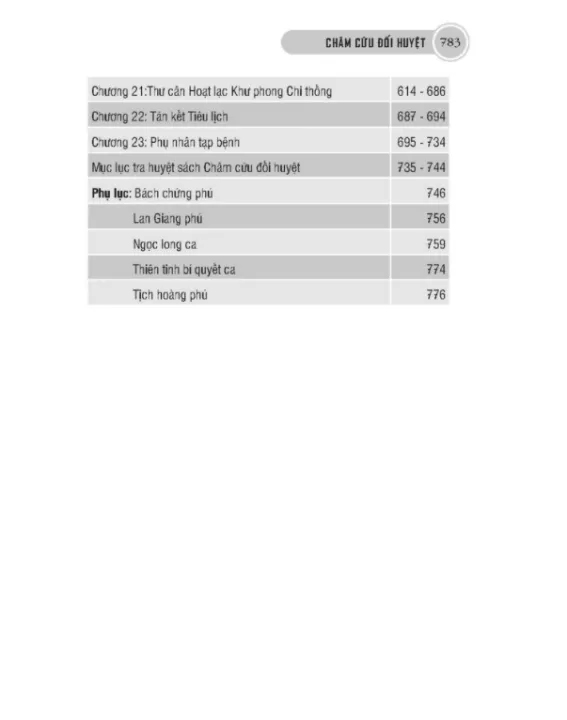châm cứu đối huyệt - Ảnh 4