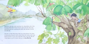 chăm sóc hành tinh của chúng mình - bảo vệ những cánh rừng - Ảnh 4