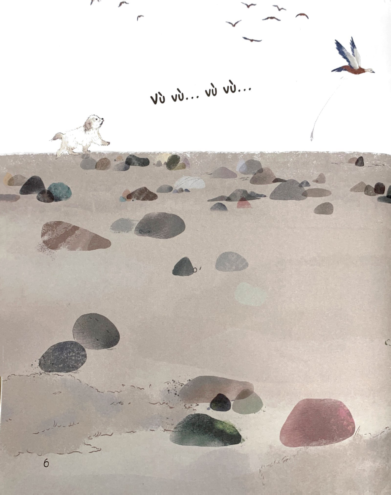 chạm tay vào khoa học - rừng có từ đâu? - Ảnh 3