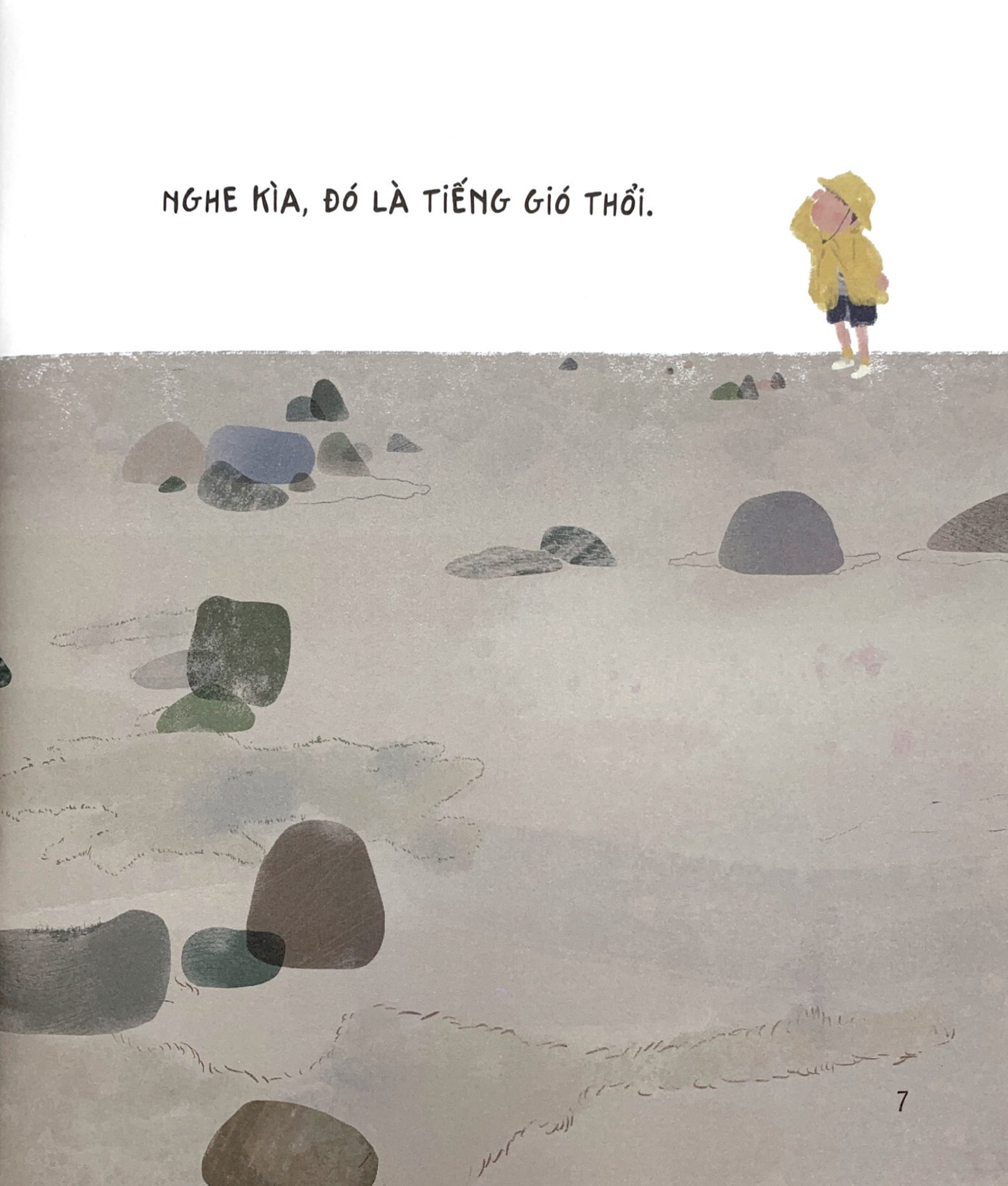 chạm tay vào khoa học - rừng có từ đâu? - Ảnh 4