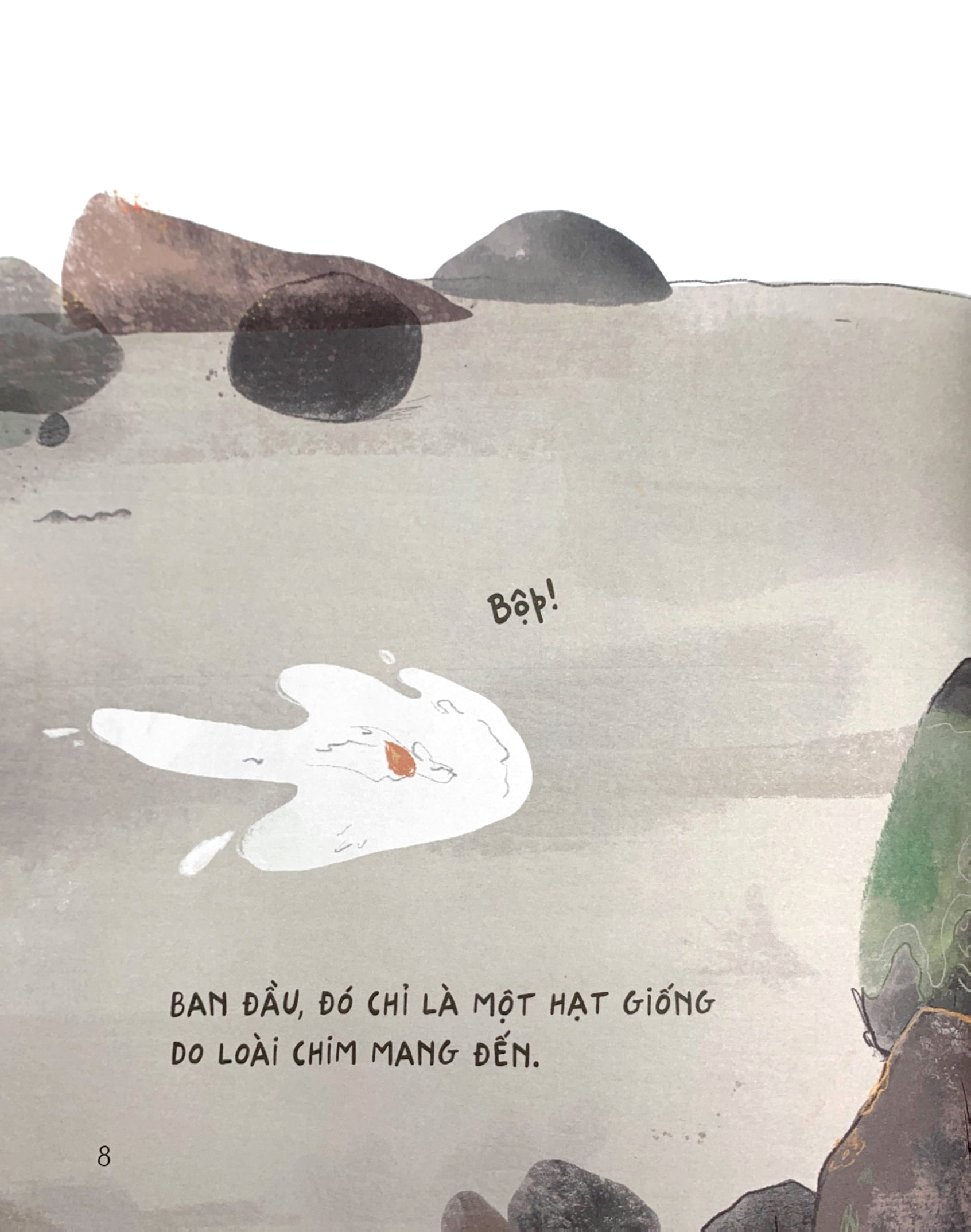 chạm tay vào khoa học - rừng có từ đâu? - Ảnh 5