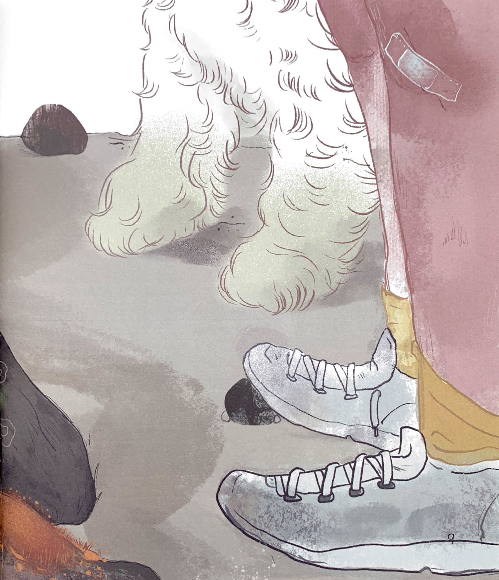 chạm tay vào khoa học - rừng có từ đâu? - Ảnh 6