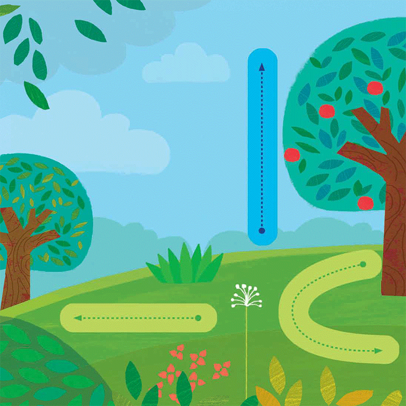 chạm và trượt - cây trồng lớn rồi kìa! - Ảnh 5