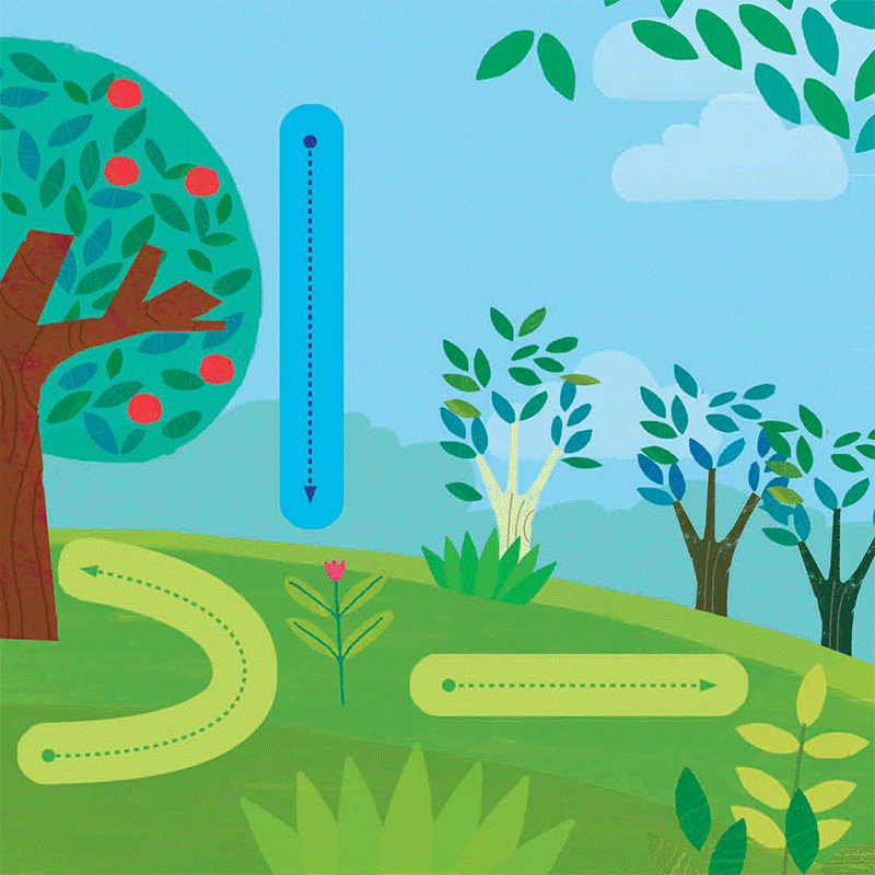 chạm và trượt - cây trồng lớn rồi kìa! - Ảnh 6