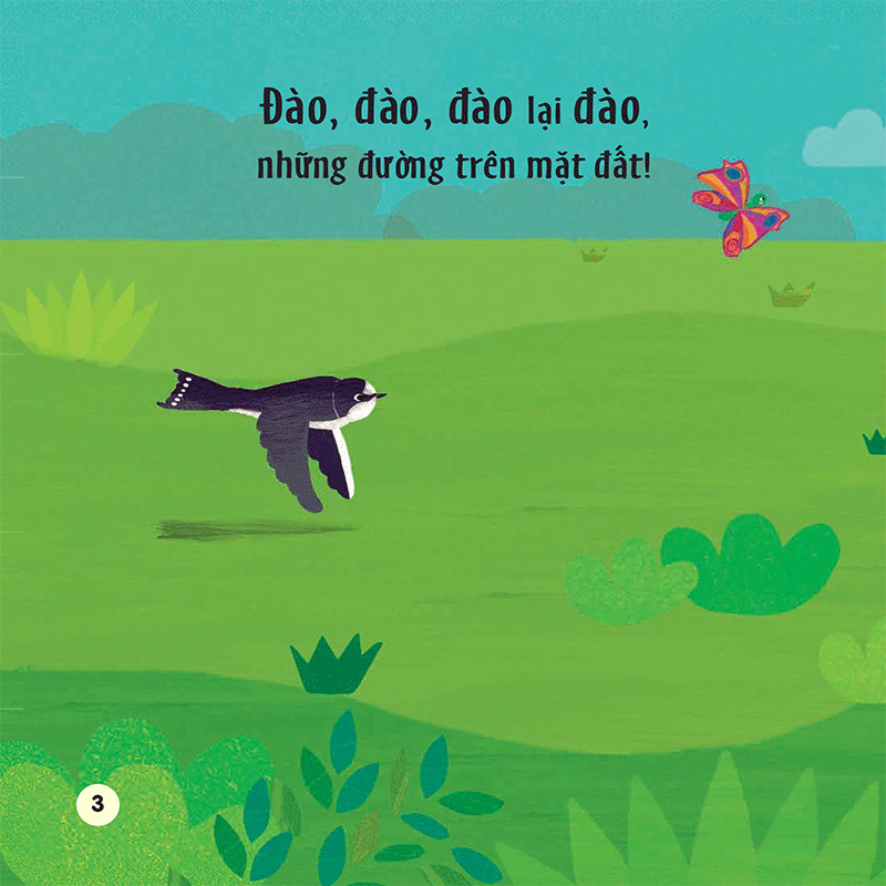 chạm và trượt - cây trồng lớn rồi kìa! - Ảnh 7