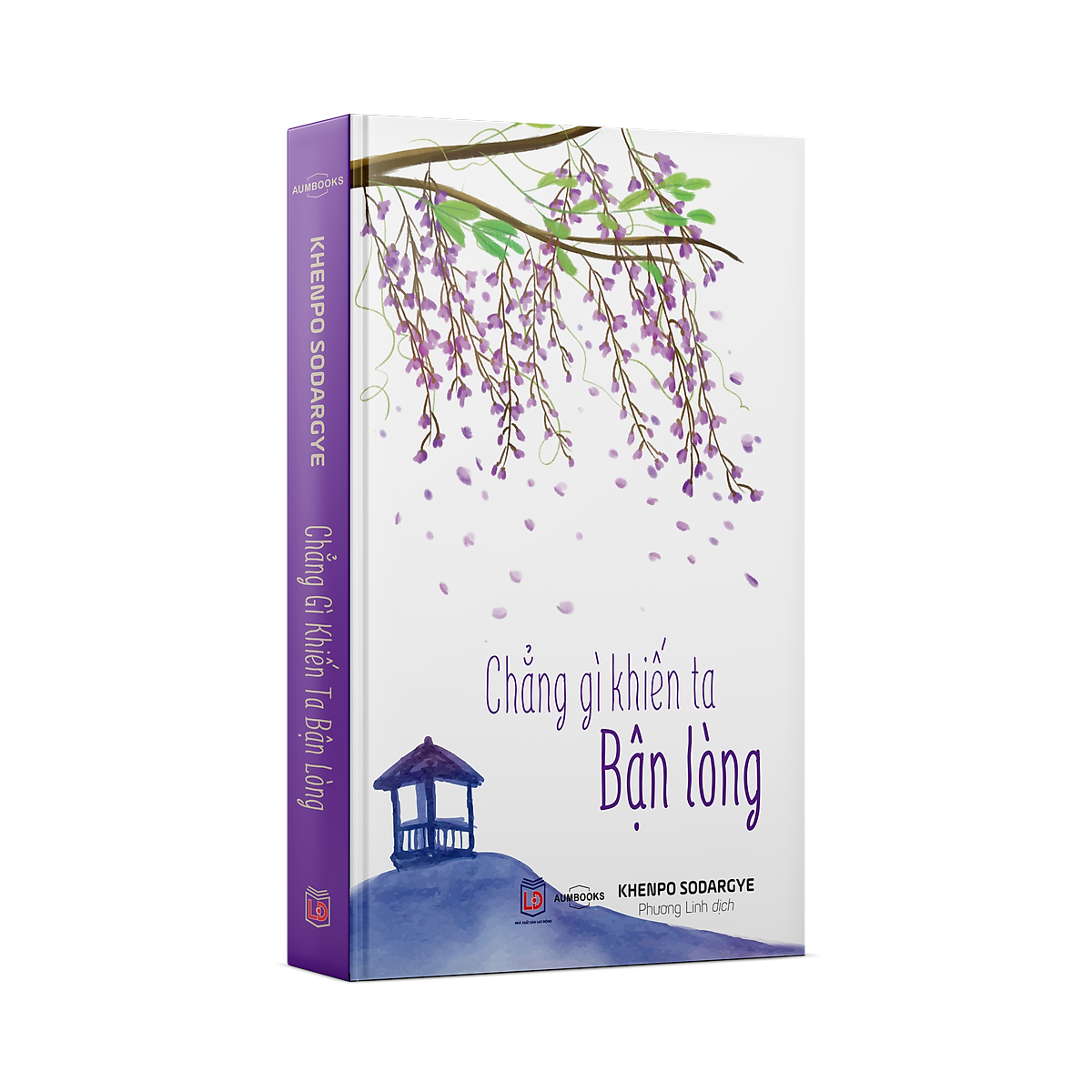 chẳng gì khiến ta bận lòng - Ảnh 2