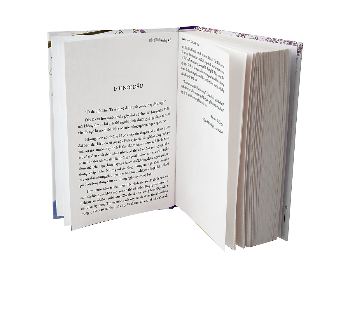 chẳng gì khiến ta bận lòng - Ảnh 3