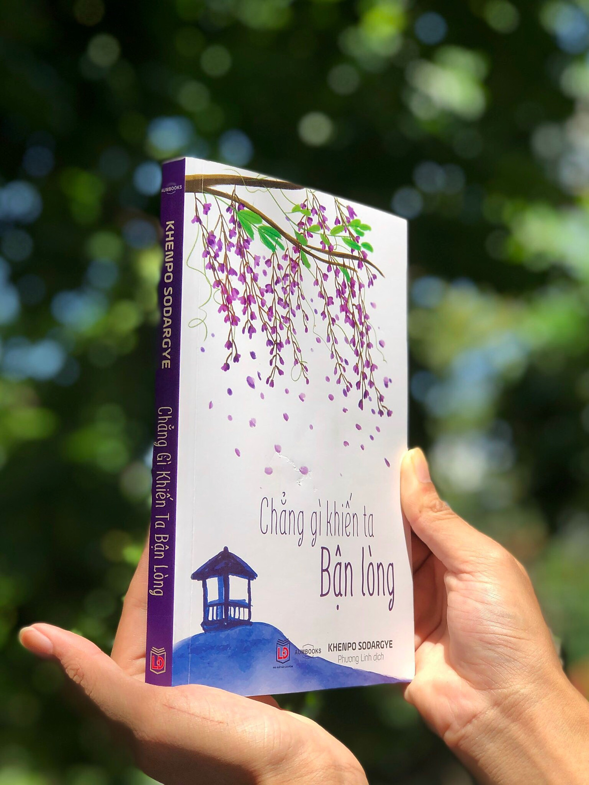 chẳng gì khiến ta bận lòng - Ảnh 5