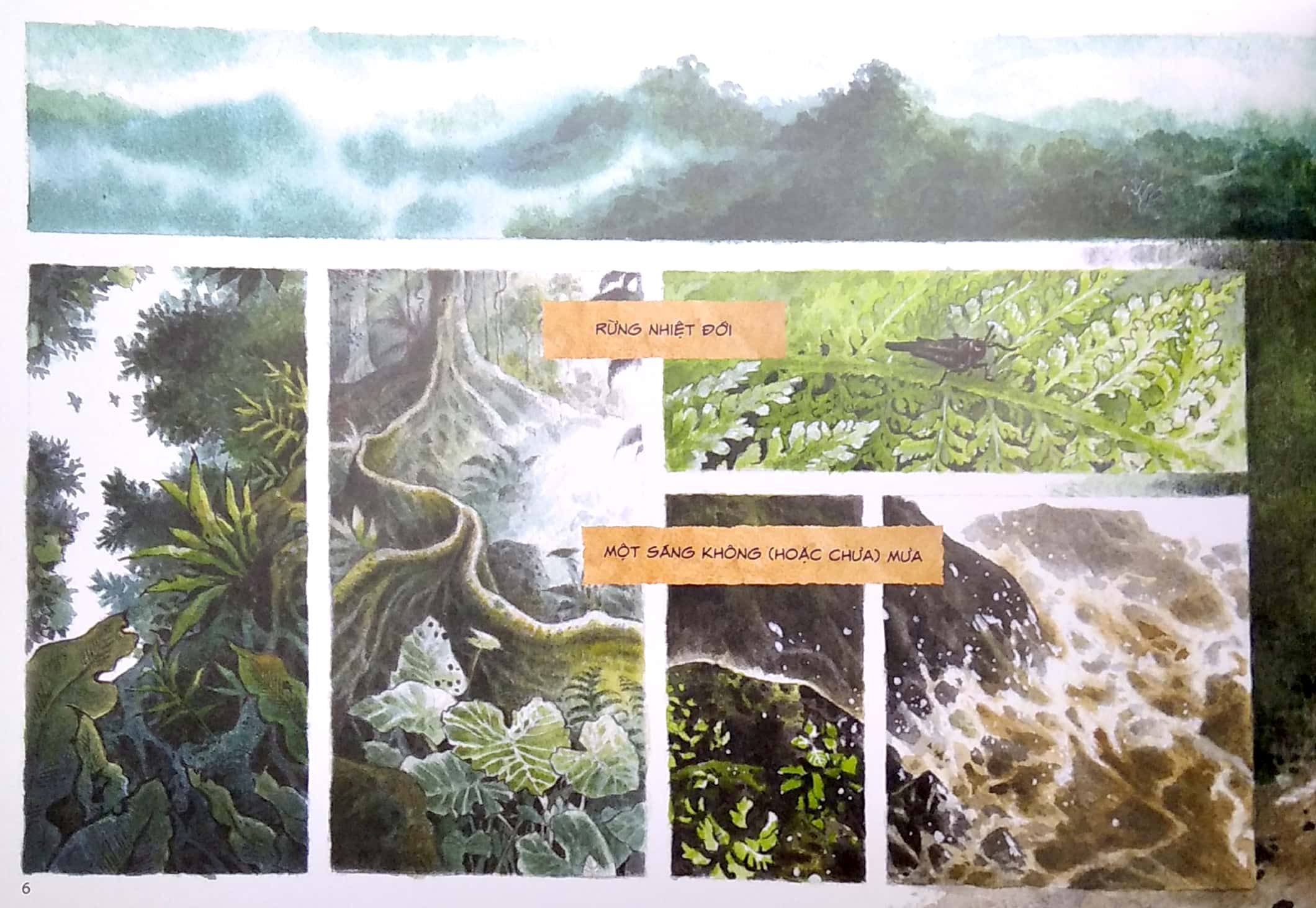 chang hoang dã - gấu (tái bản 2022) - tặng kèm bookmark - Ảnh 4