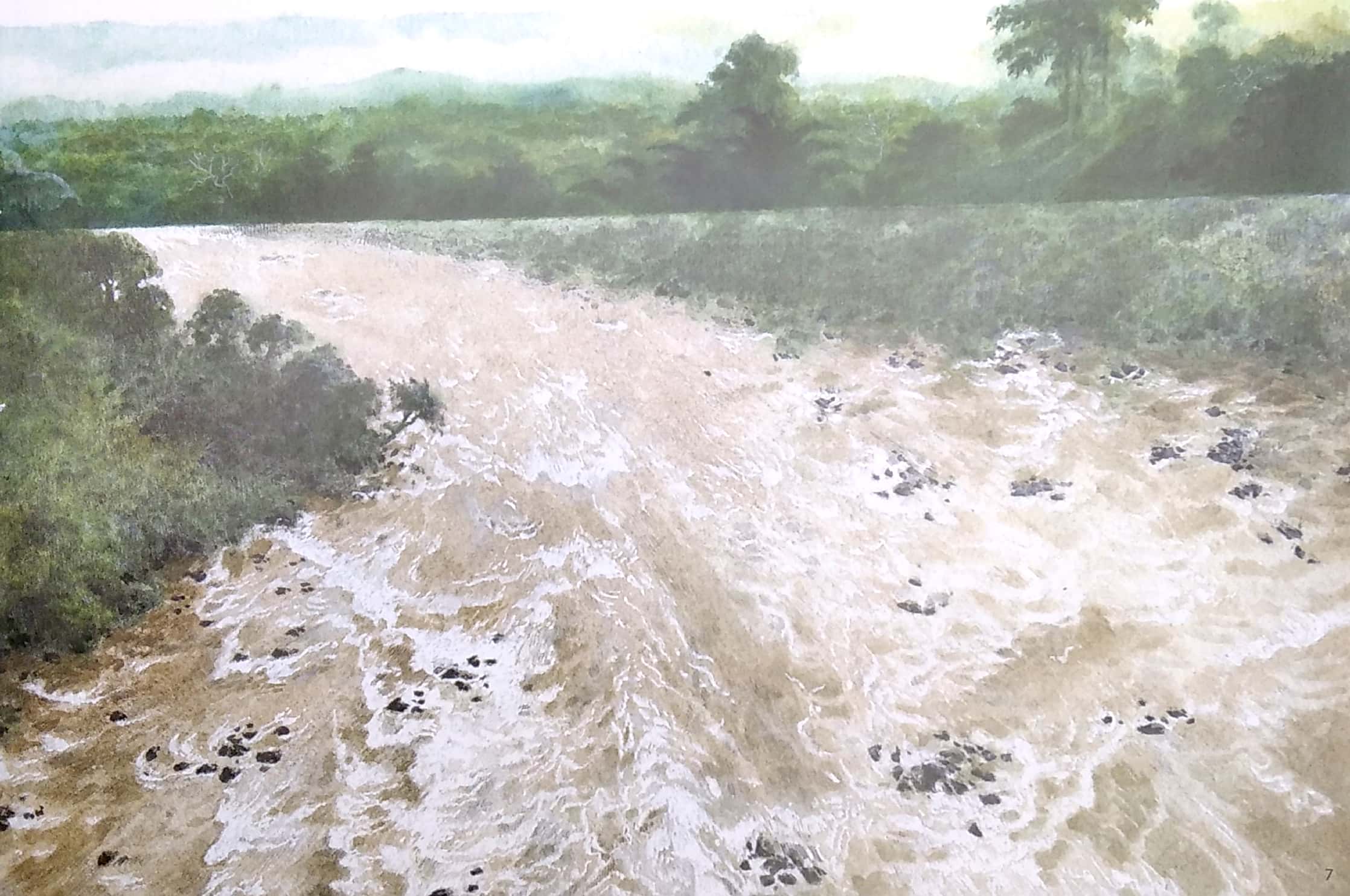 chang hoang dã - gấu (tái bản 2022) - tặng kèm bookmark - Ảnh 5