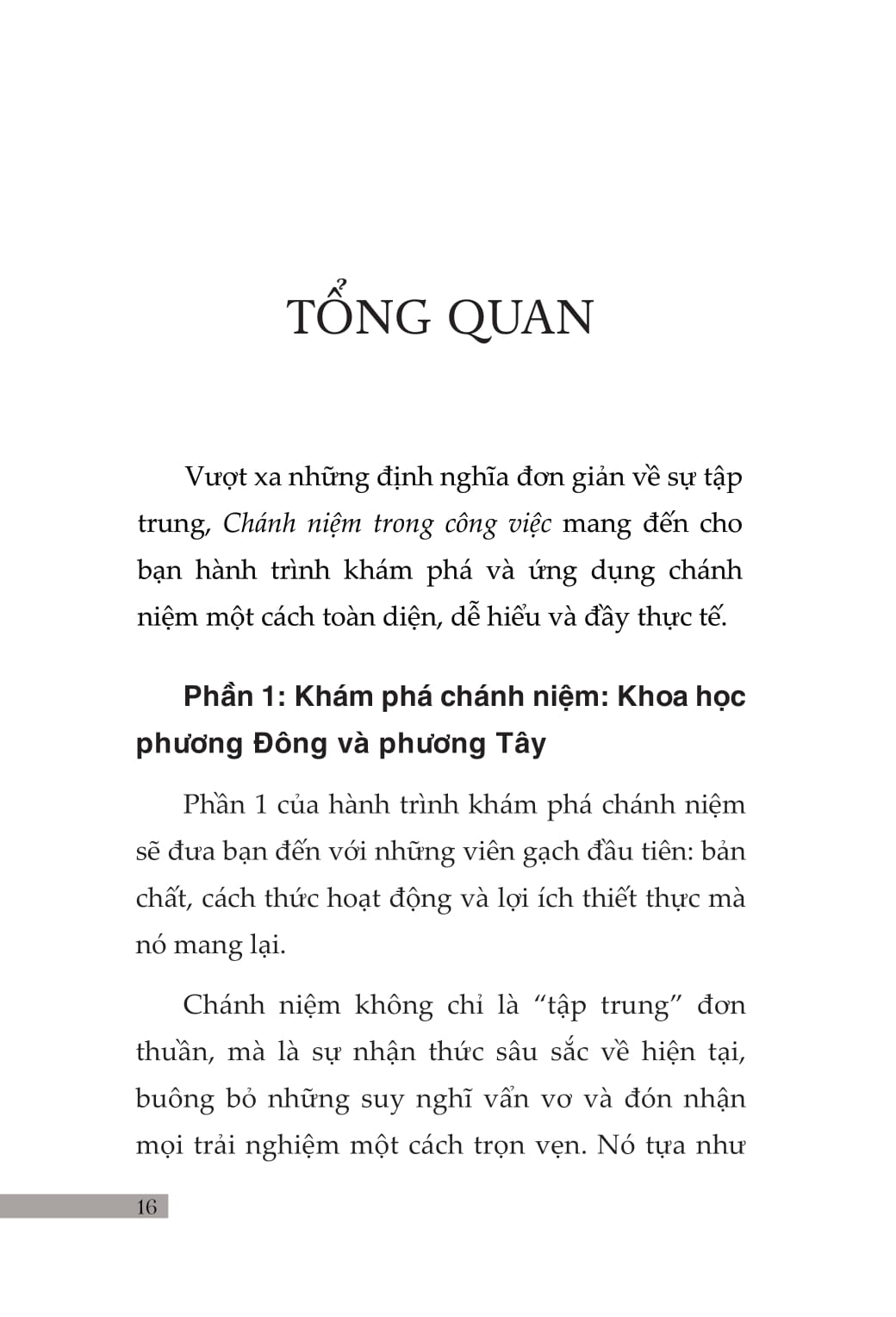 Chánh Niệm Trong Công Việc - Ảnh 25