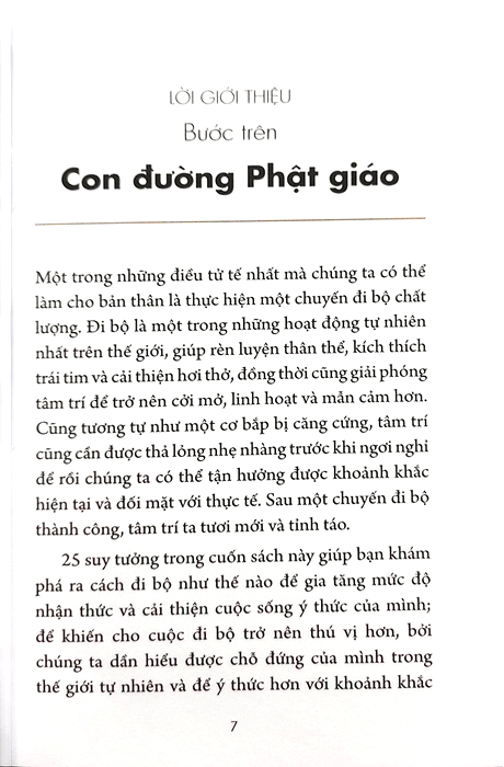 chánh niệm từng phút giây - bước chậm lại giữ hiện tại trong ta - Ảnh 3