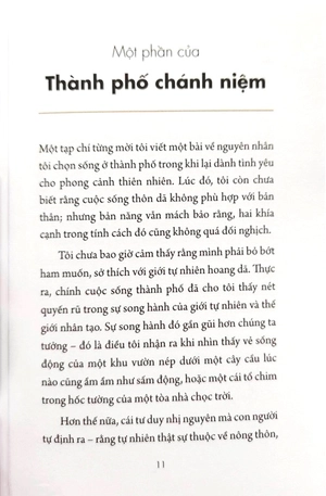 chánh niệm từng phút giây - sống thảnh thơi giữa đời đô thị - Ảnh 4