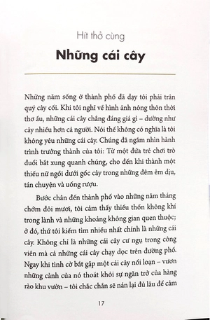 chánh niệm từng phút giây - sống thảnh thơi giữa đời đô thị - Ảnh 6