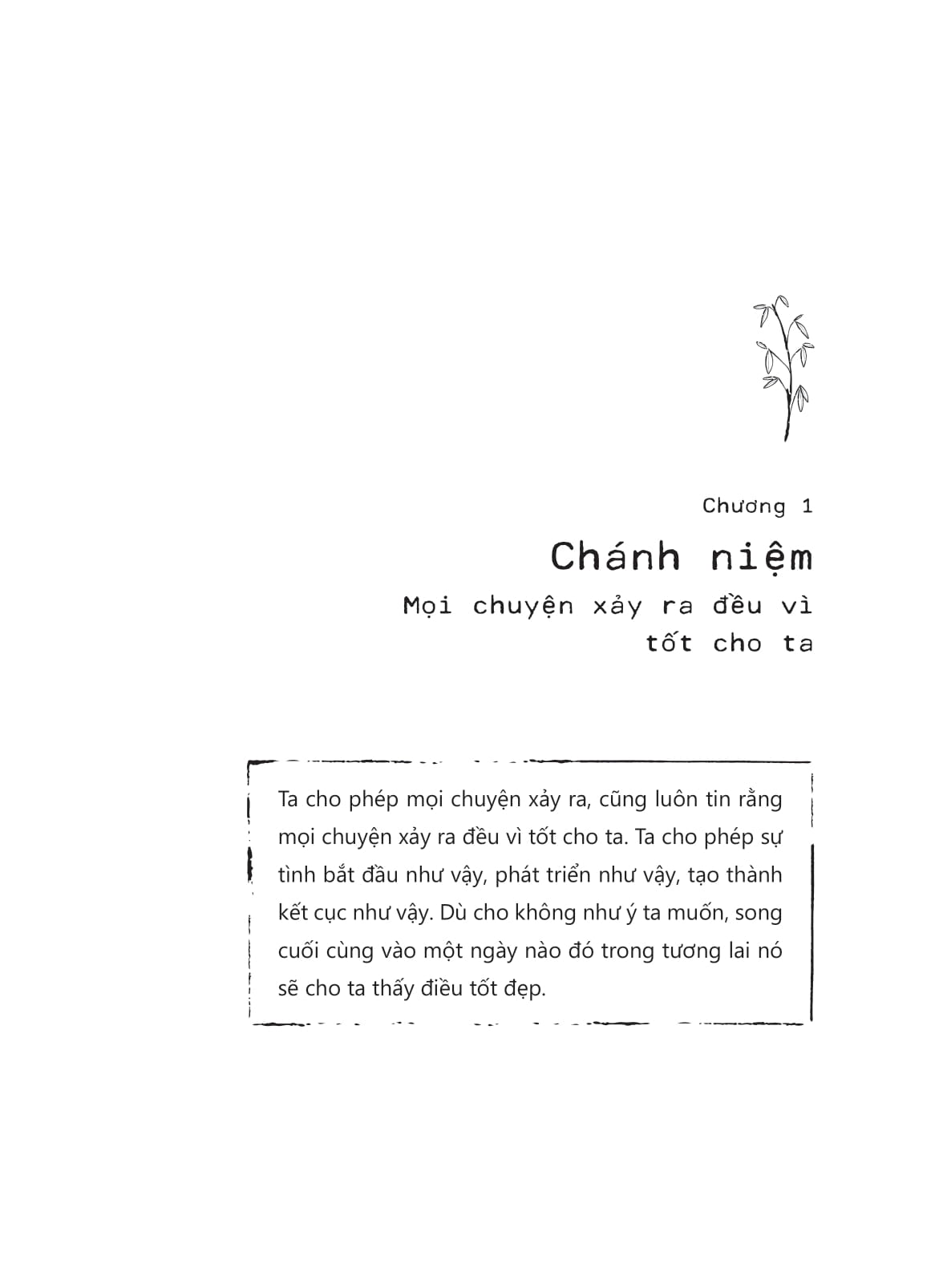 chánh tâm, chánh niệm - mọi việc xảy ra đều tốt với tôi - Ảnh 12