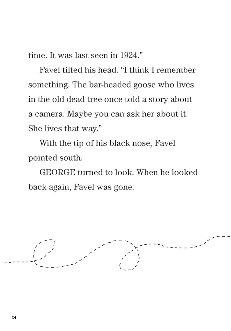 Chapter Book Sunbird George The Flybot And The Lost Camera On Mount Everest - Ảnh 5