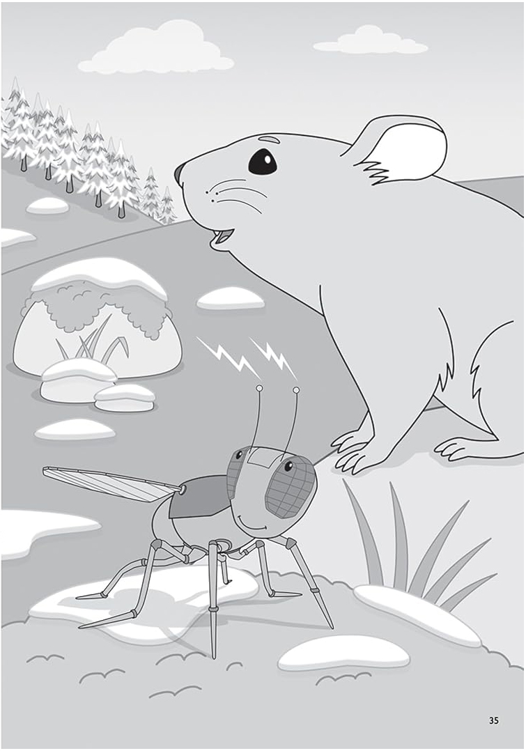 Chapter Book Sunbird George The Flybot And The Lost Camera On Mount Everest - Ảnh 6