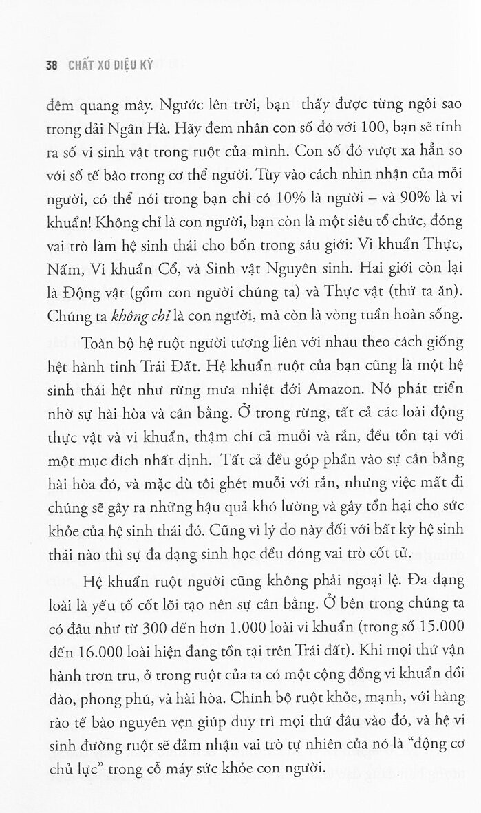 chất xơ diệu kỳ - Ảnh 10