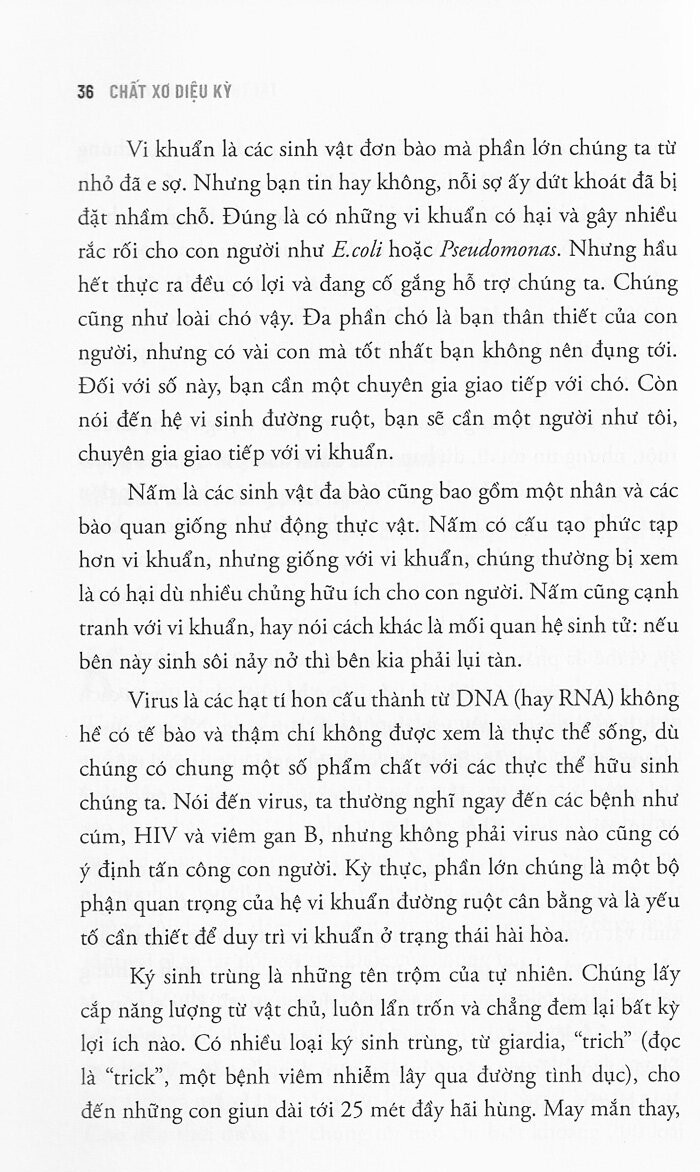 chất xơ diệu kỳ - Ảnh 8