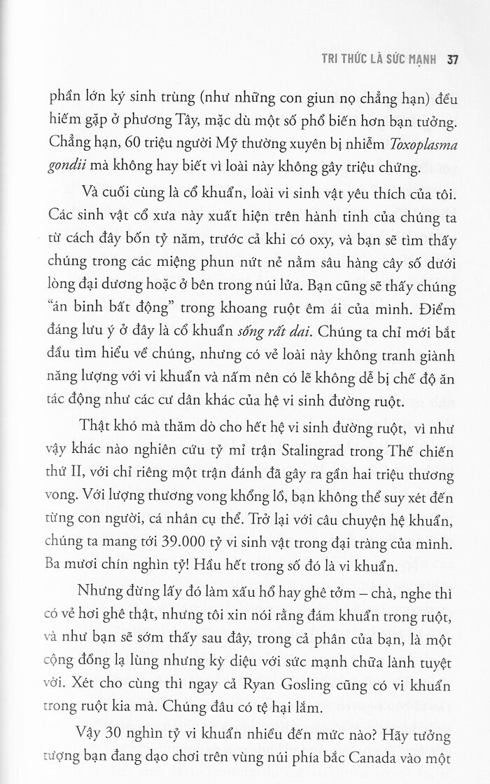 chất xơ diệu kỳ - Ảnh 9