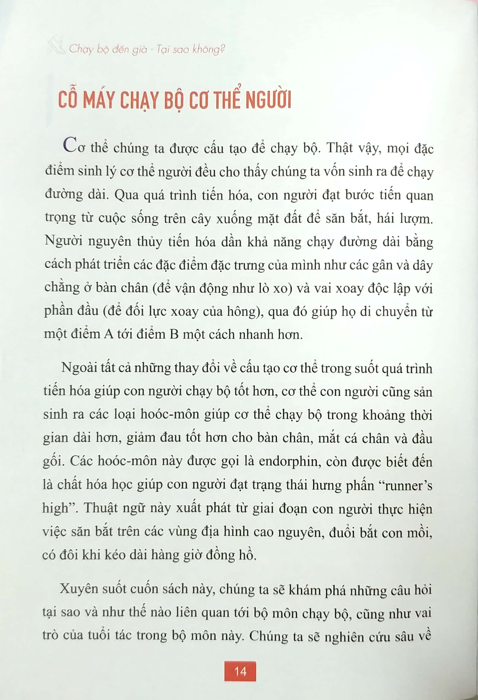 chạy bộ đến già tại sao không? phương pháp chạy bộ không chấn thương, mạnh mẽ và vui vẻ suốt đời - Ảnh 5