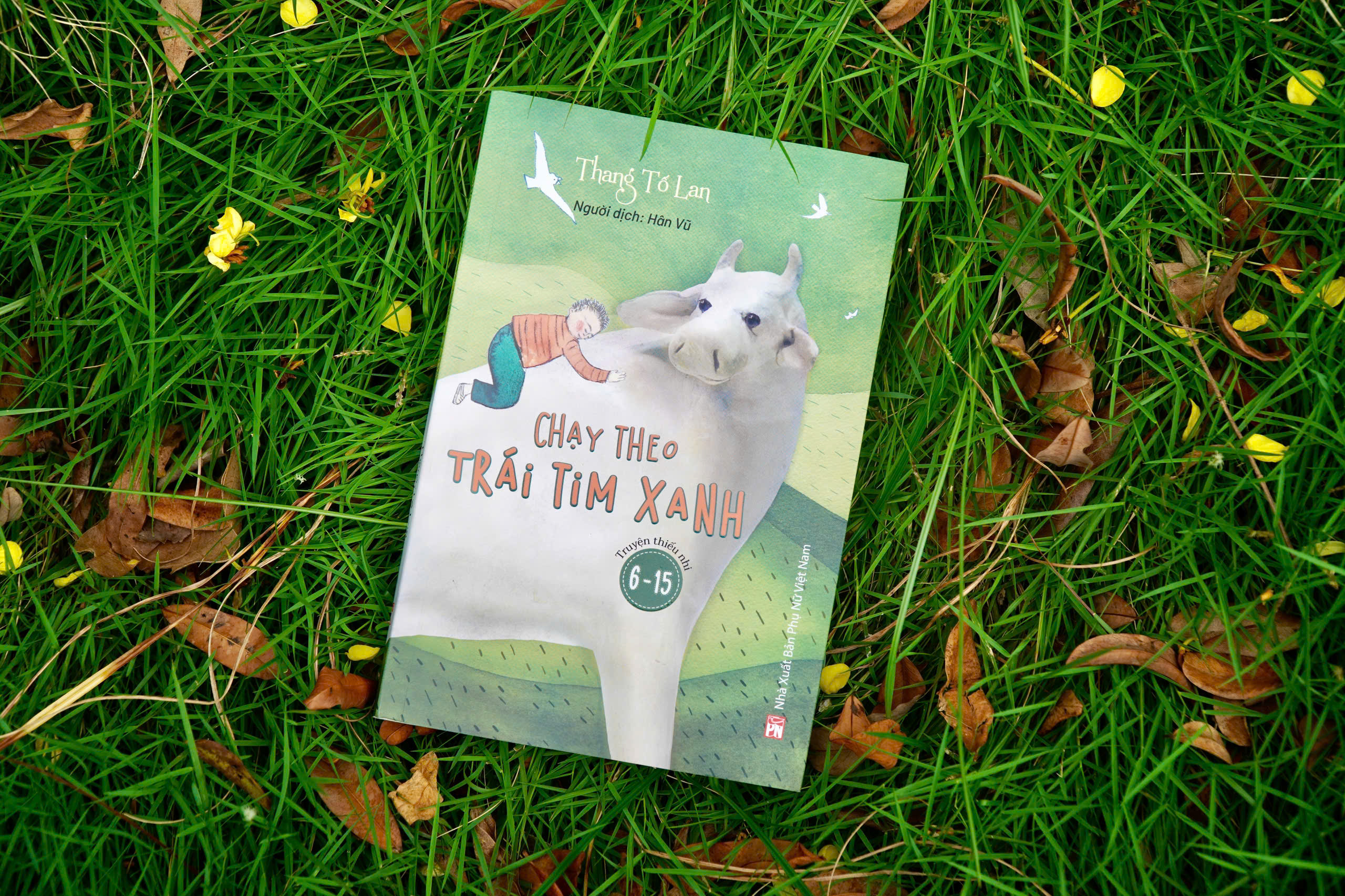 Chay Theo Trai Tim Xanh - Ảnh 3