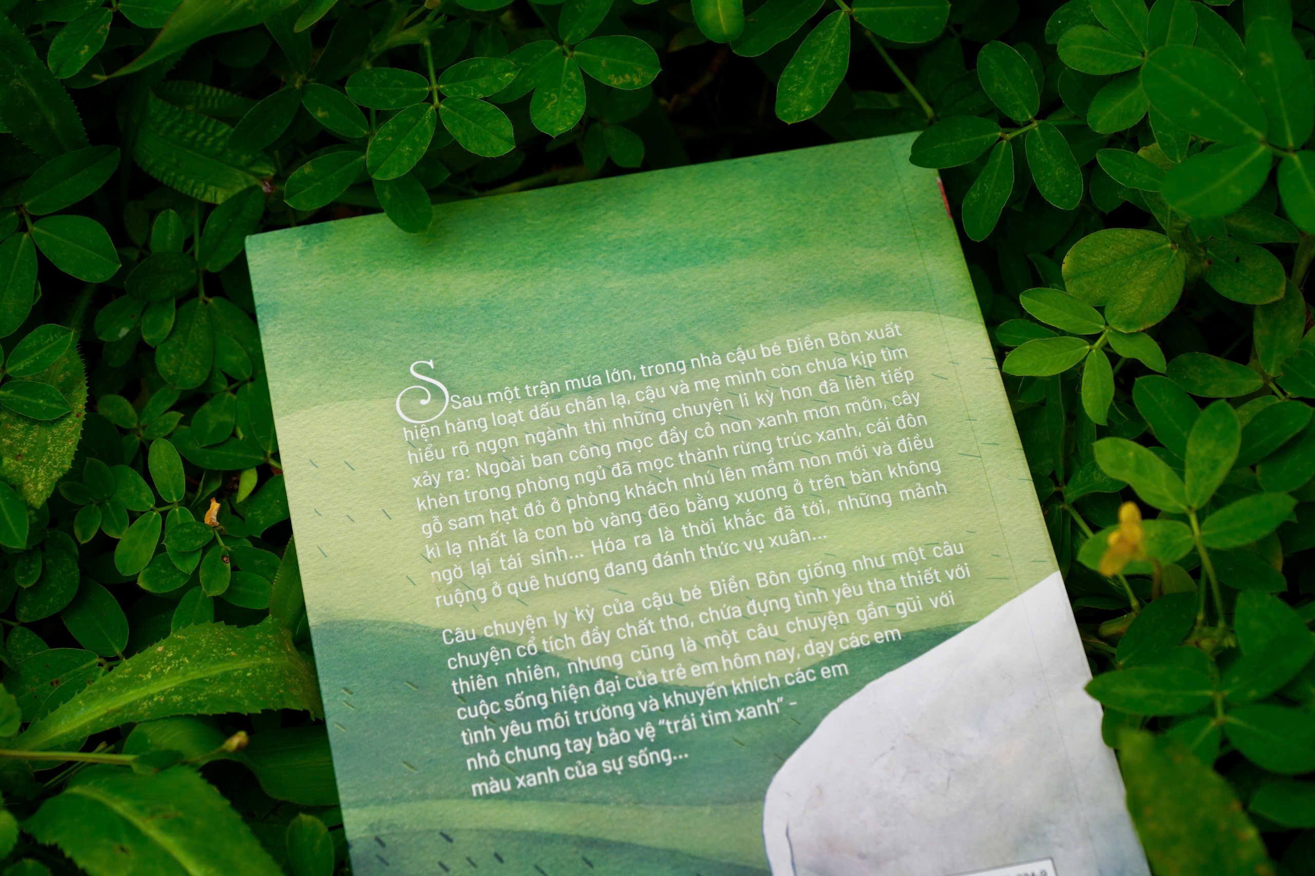 Chay Theo Trai Tim Xanh - Ảnh 4