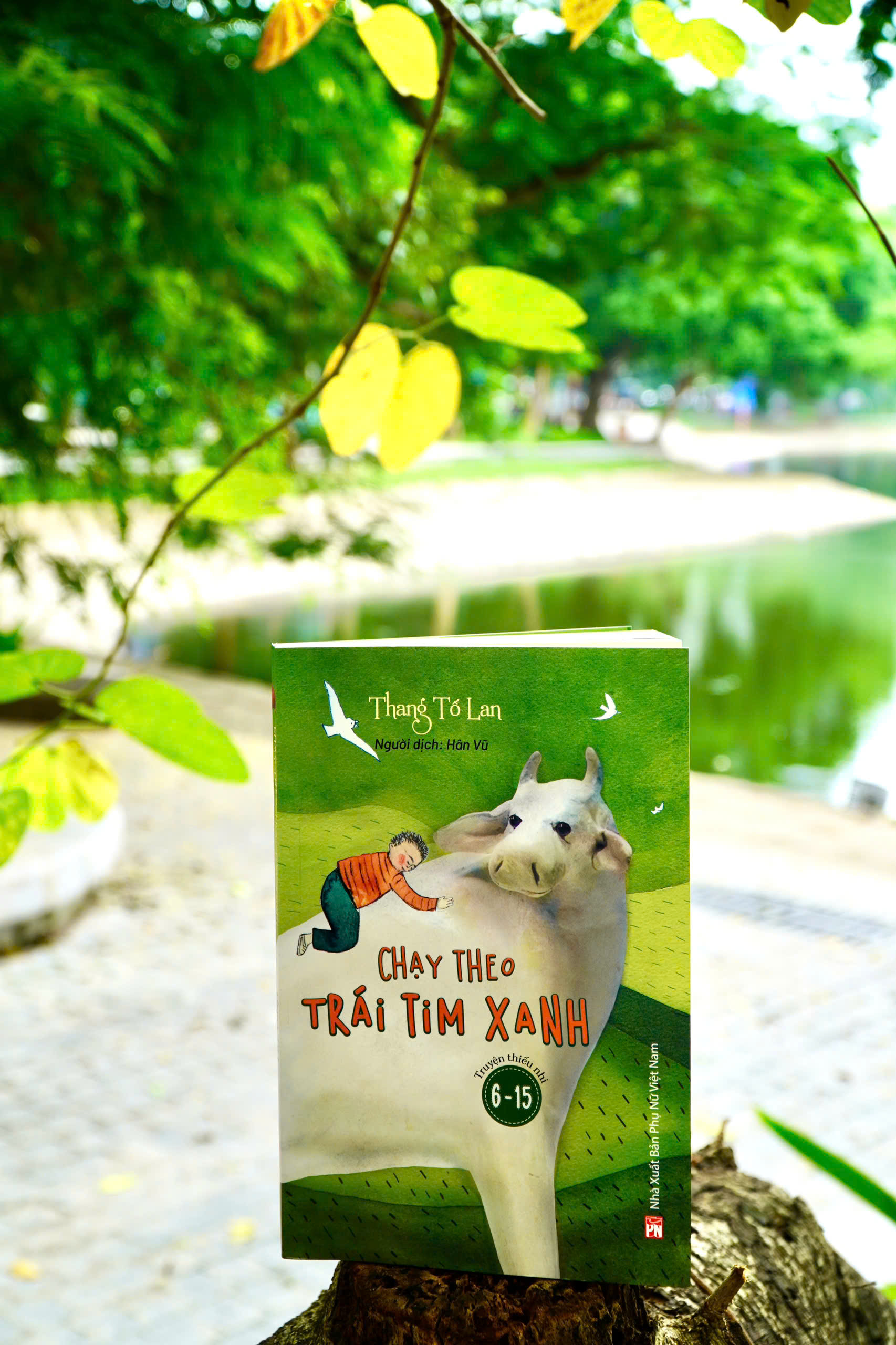 Chay Theo Trai Tim Xanh - Ảnh 5