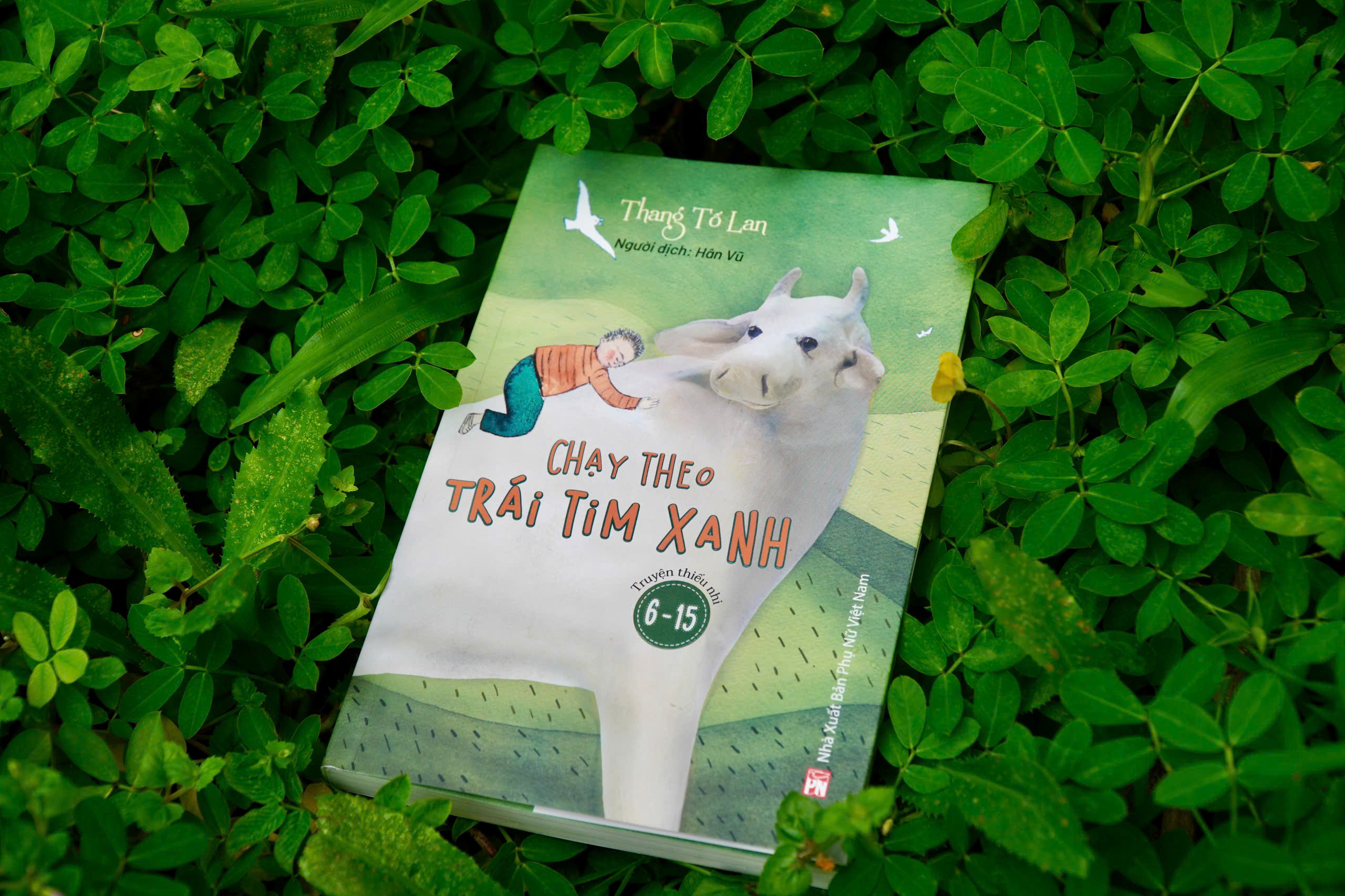 Chay Theo Trai Tim Xanh - Ảnh 6