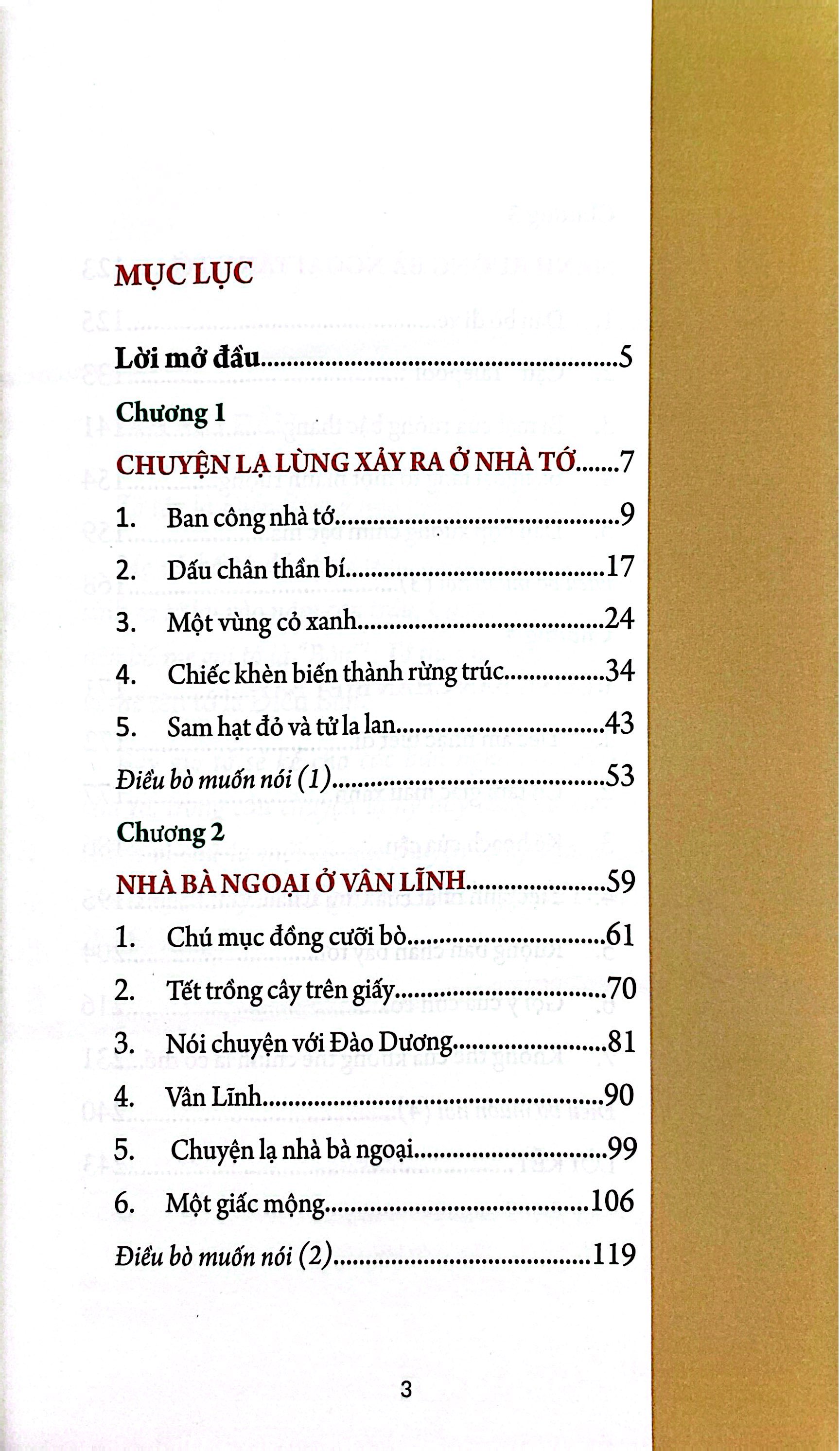 Chay Theo Trai Tim Xanh (Tai Ban 2025) - Ảnh 3