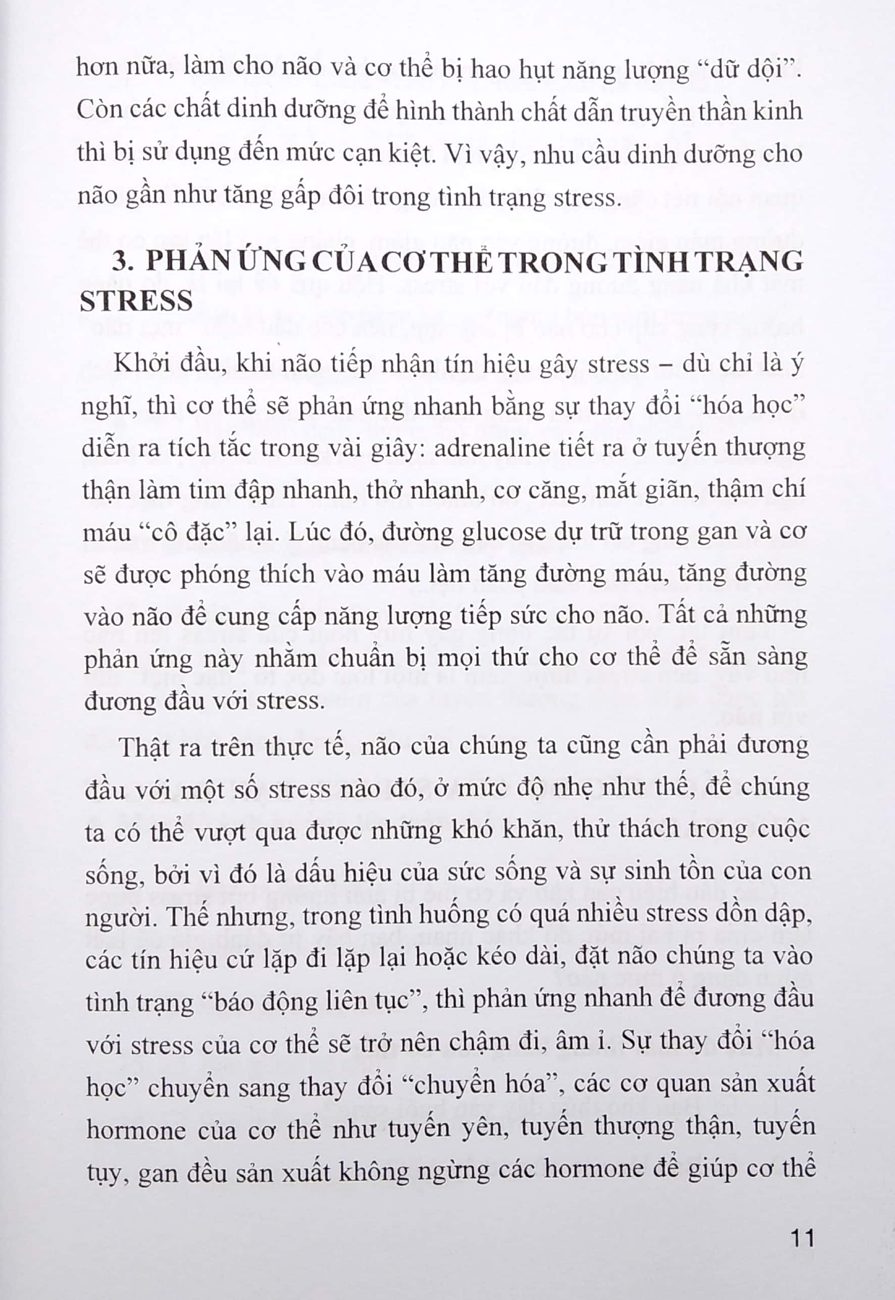 chế độ ăn bổ trí não giảm stress - Ảnh 6