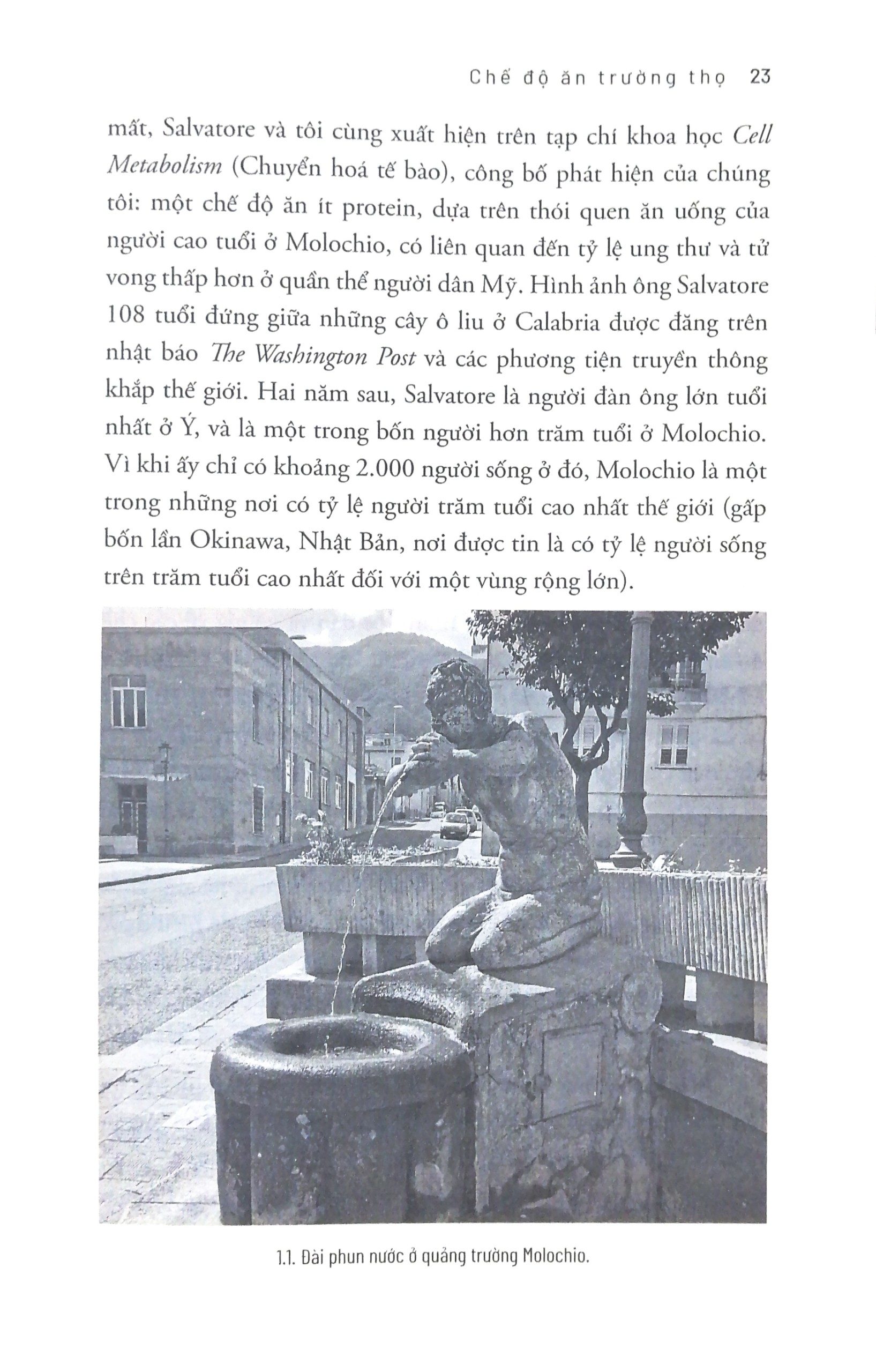 chế độ ăn trường thọ - Ảnh 6