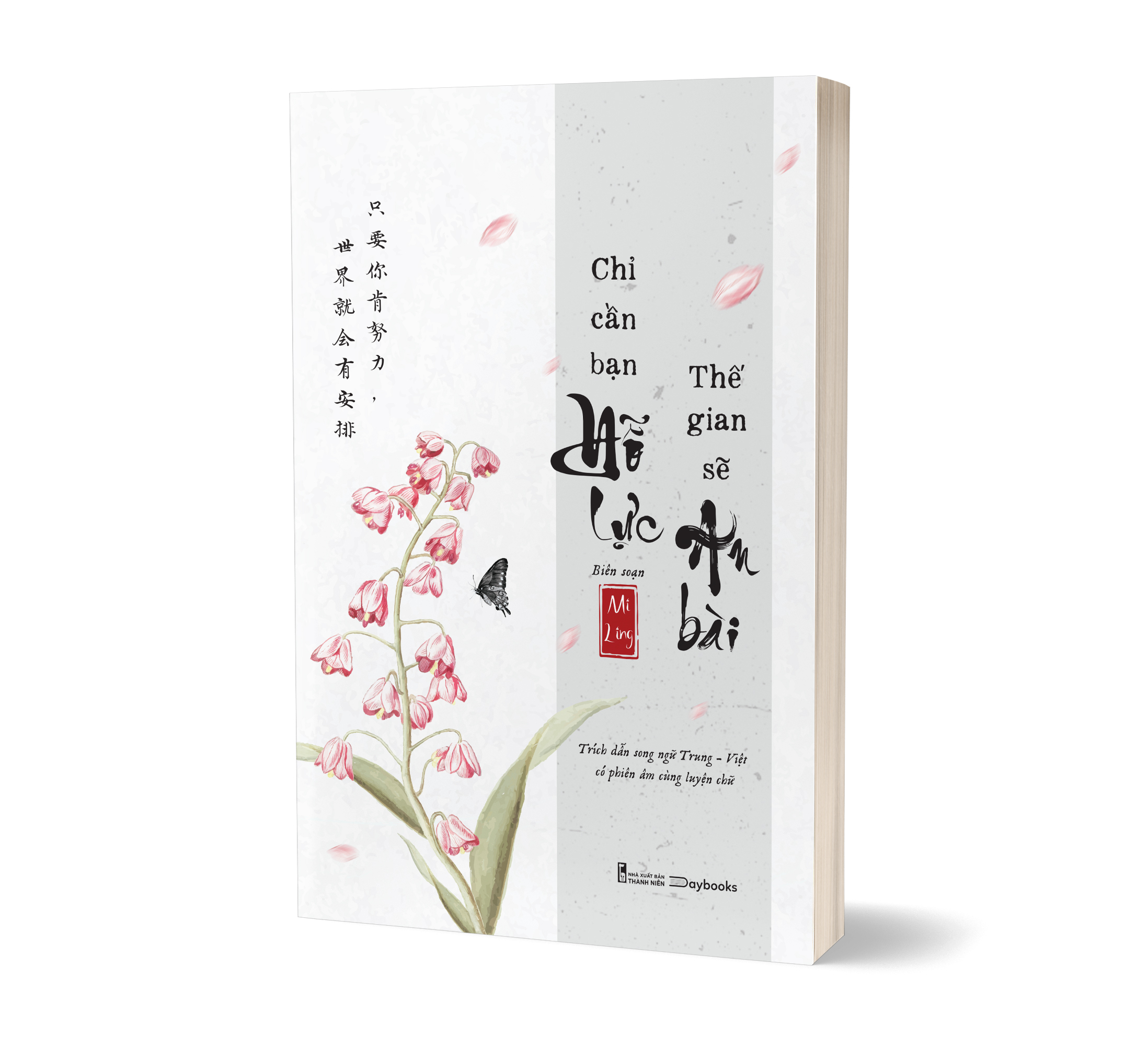 chỉ cần bạn nỗ lực - thế gian sẽ an bài - Ảnh 4