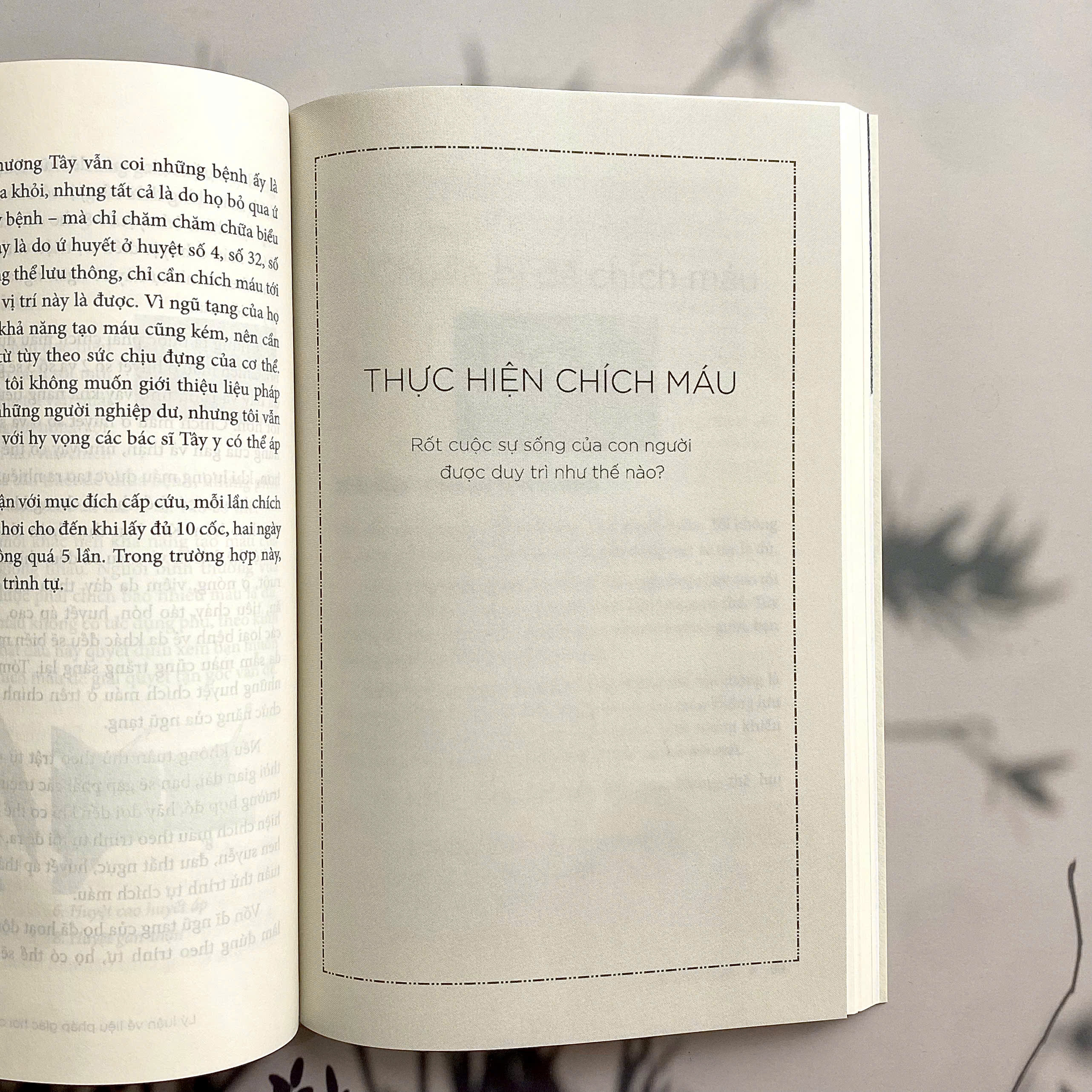 Chỉ Cần Máu Sạch Bách Bệnh Tiêu Tan - Liệu Pháp Giác Hơi Chích Máu Simcheon - Tập 1 - Ảnh 5