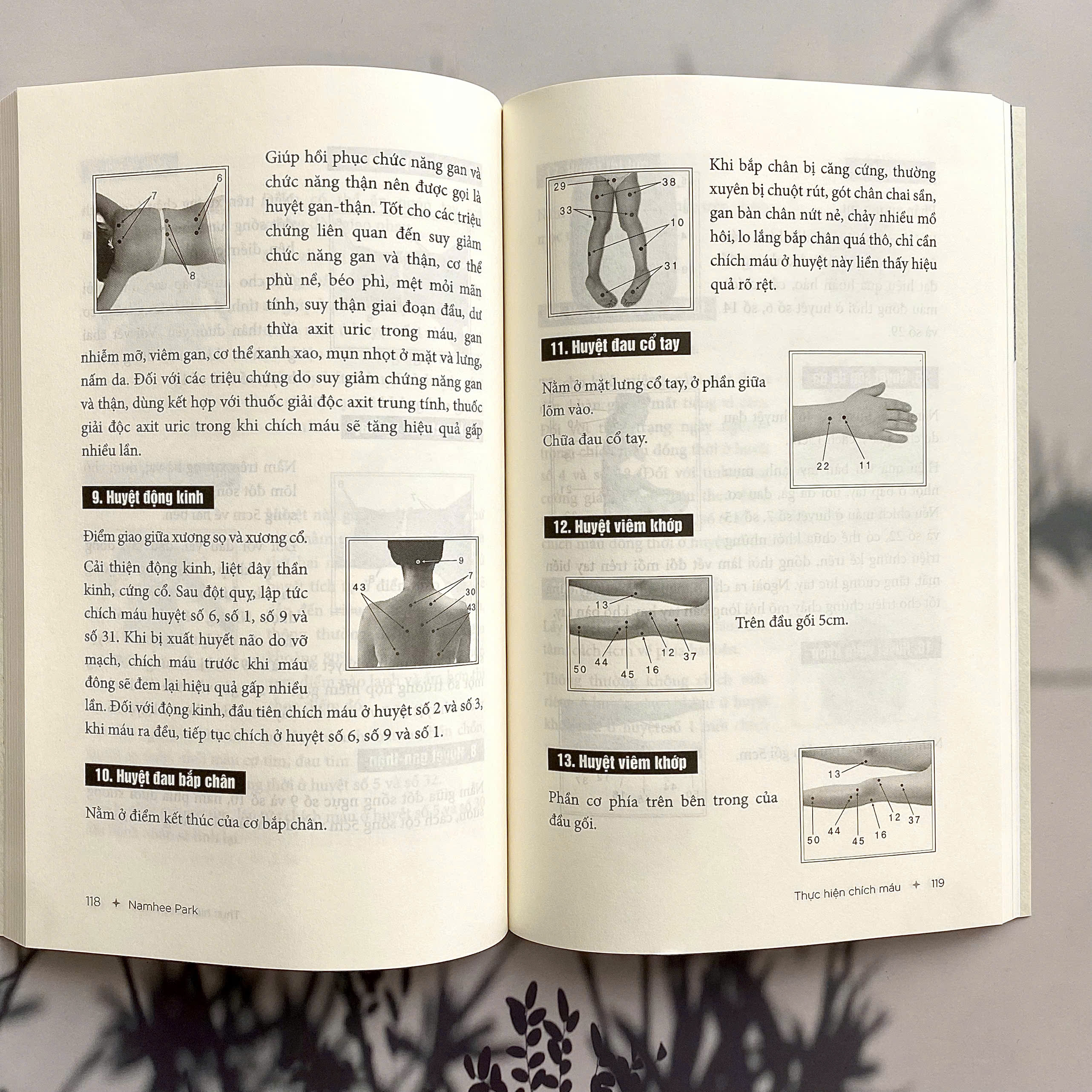 Chỉ Cần Máu Sạch Bách Bệnh Tiêu Tan - Liệu Pháp Giác Hơi Chích Máu Simcheon - Tập 1 - Ảnh 6