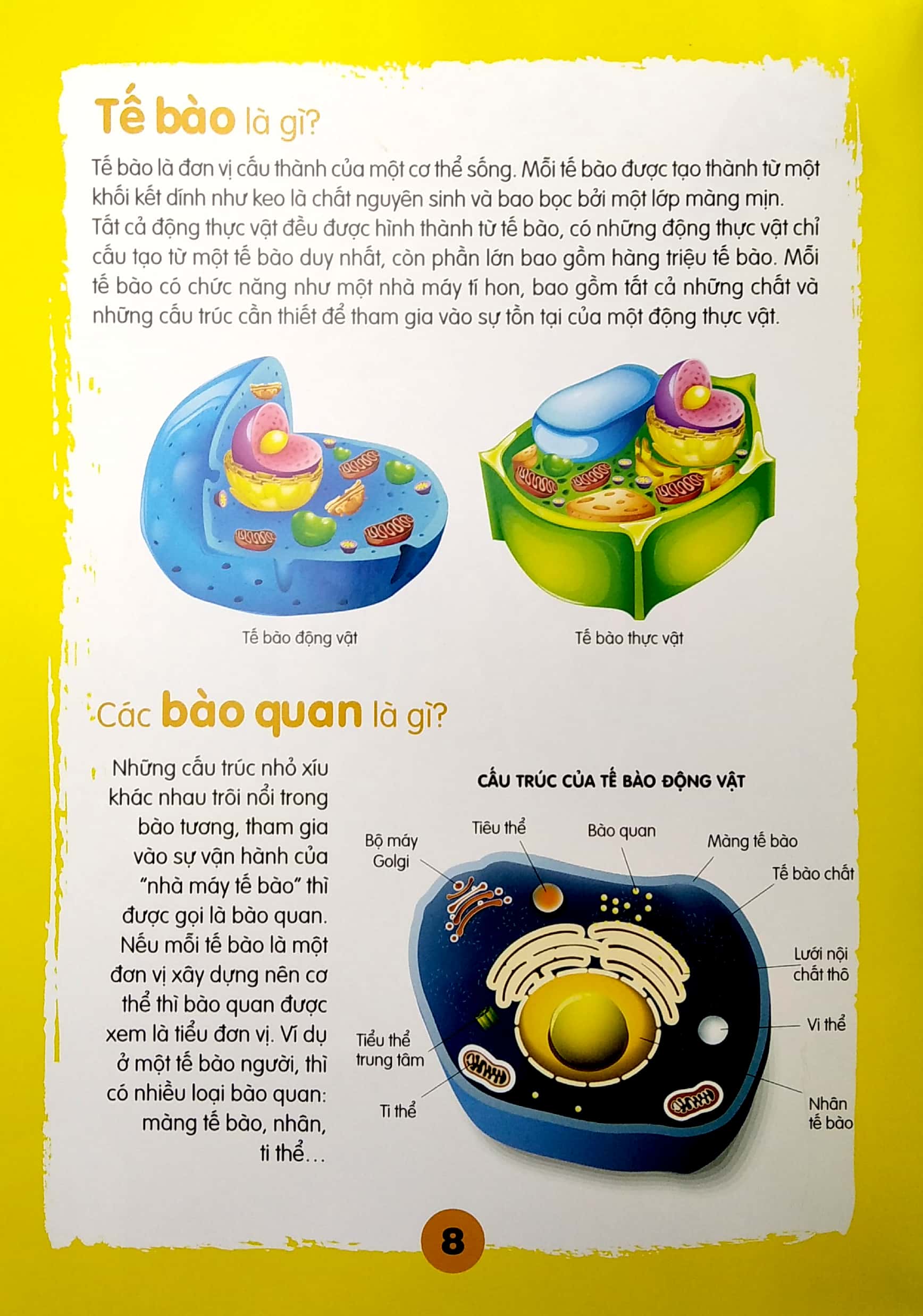 chìa khóa mở cửa thế giới - em muốn biết là gì? - Ảnh 4