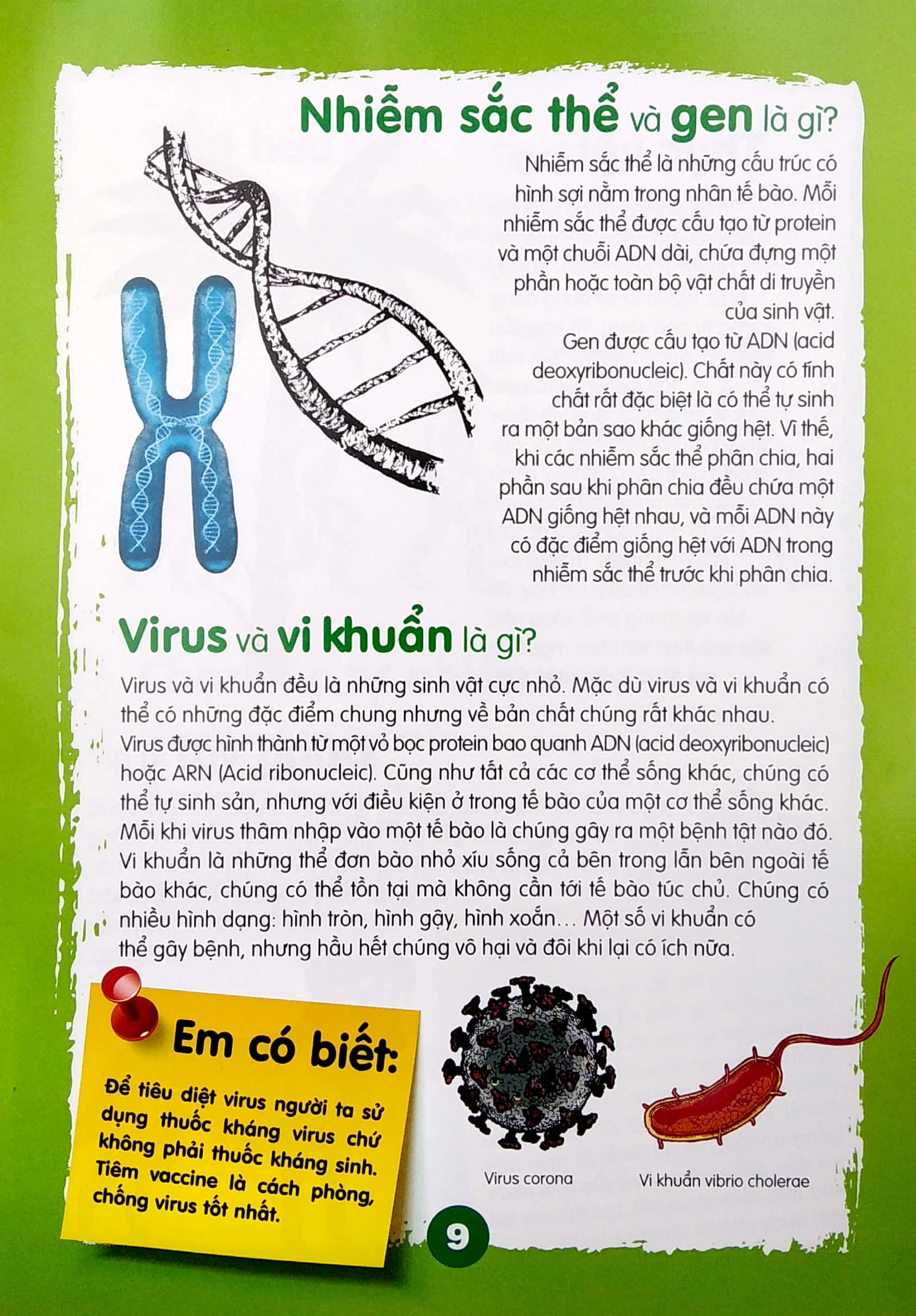 chìa khóa mở cửa thế giới - em muốn biết là gì? - Ảnh 5
